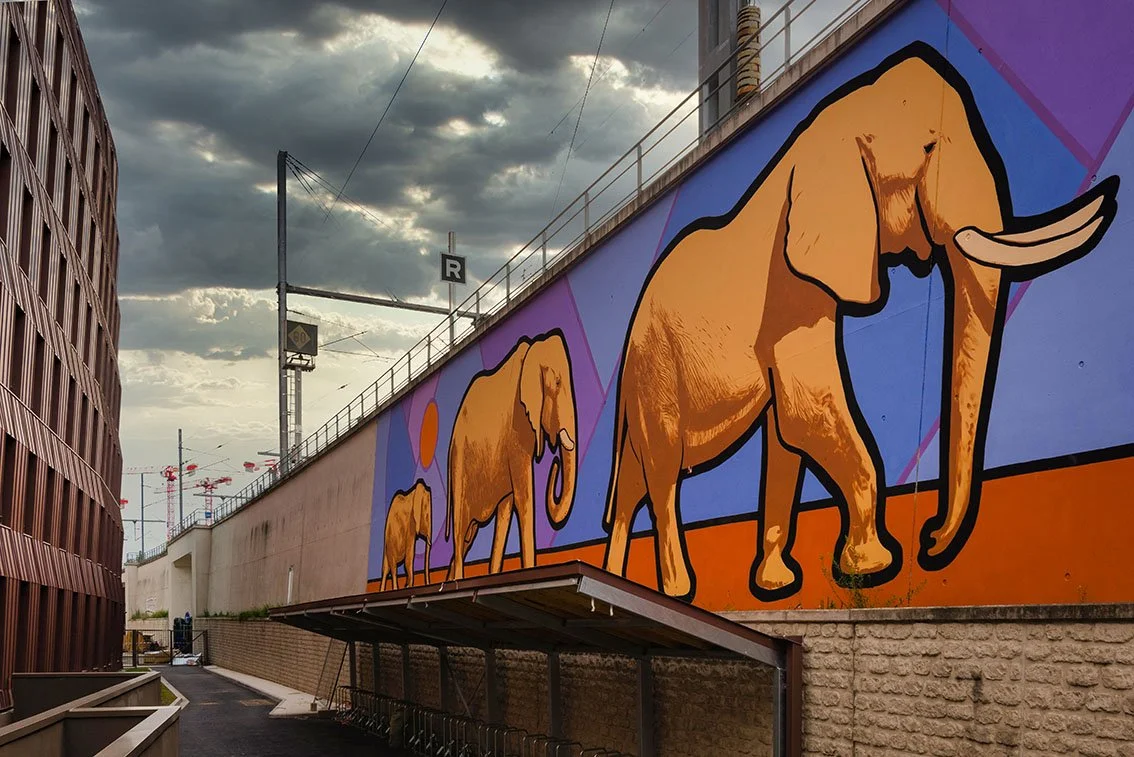 Horizons [ICADE] / 2020