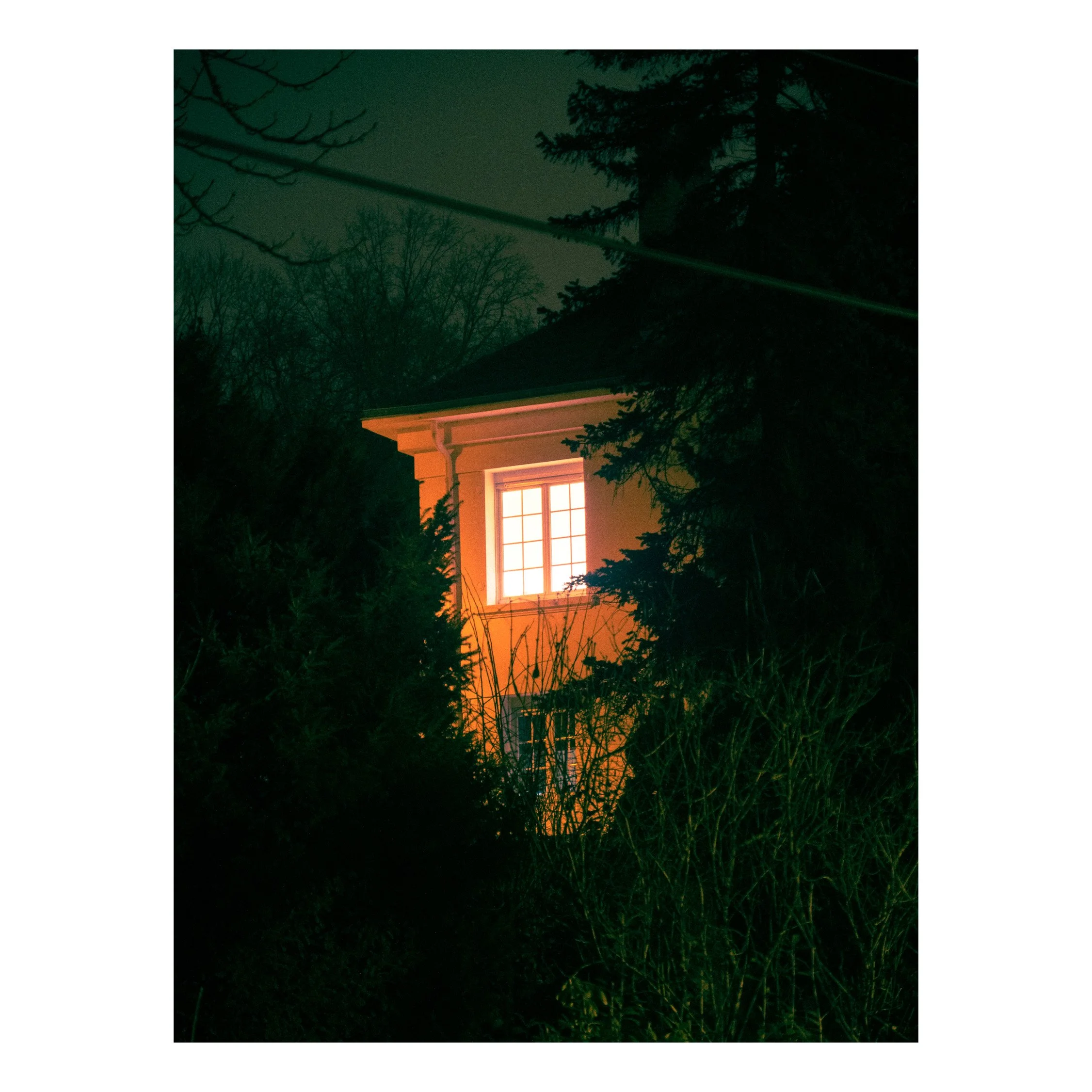 The Lonely House