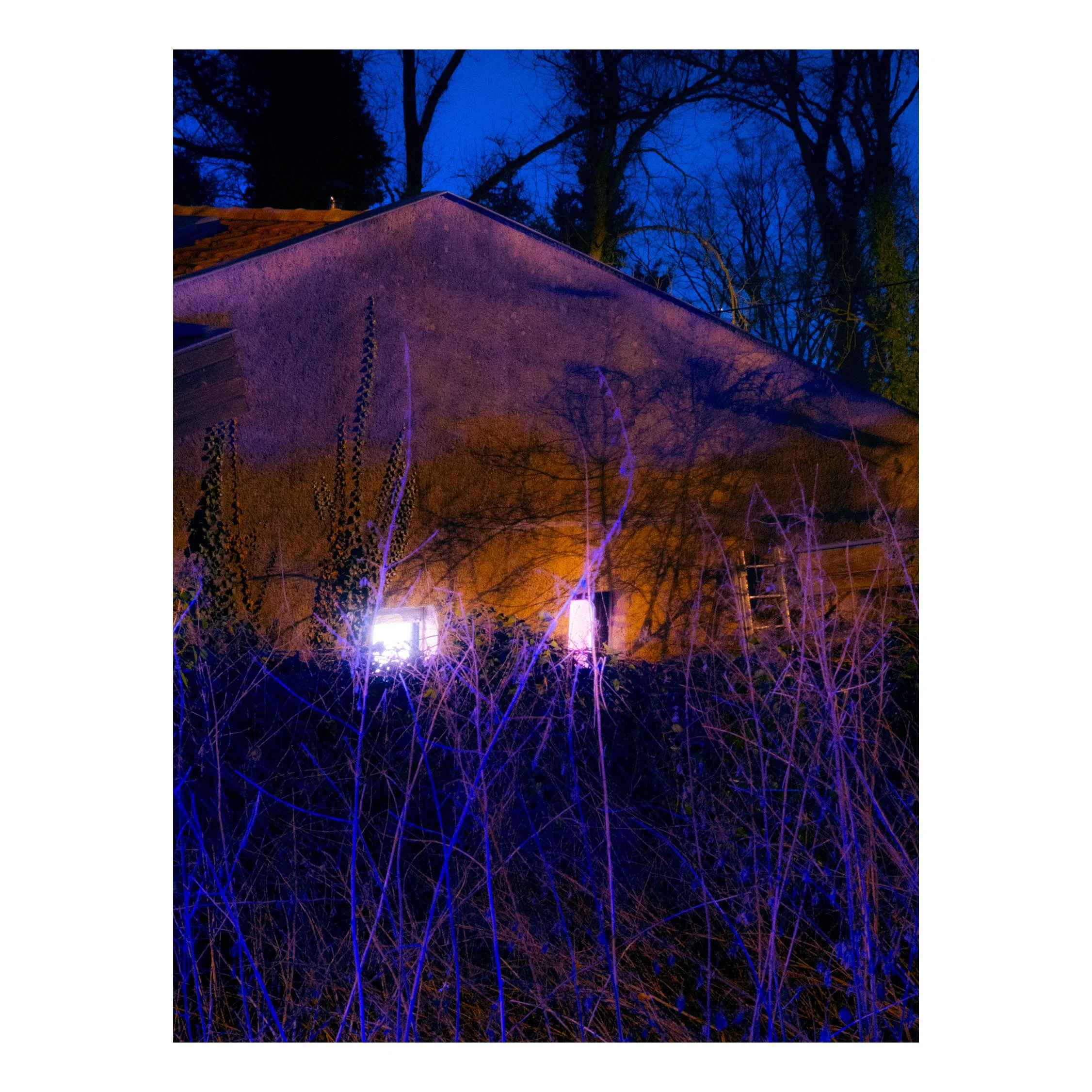 Peeking Throught The Window