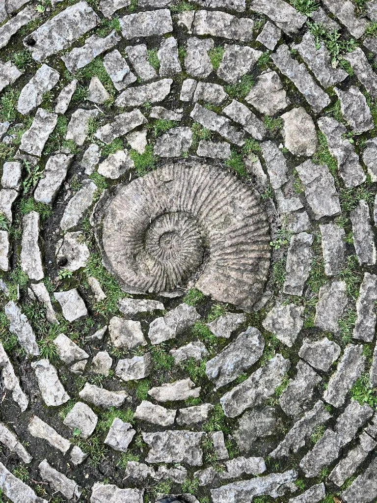 Dreaming Futures Beyond Whiteness: Virtual Gathering