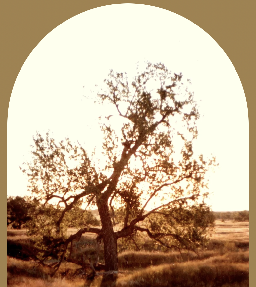 SOUTH DAKOTA: Community potluck in Perkins County!