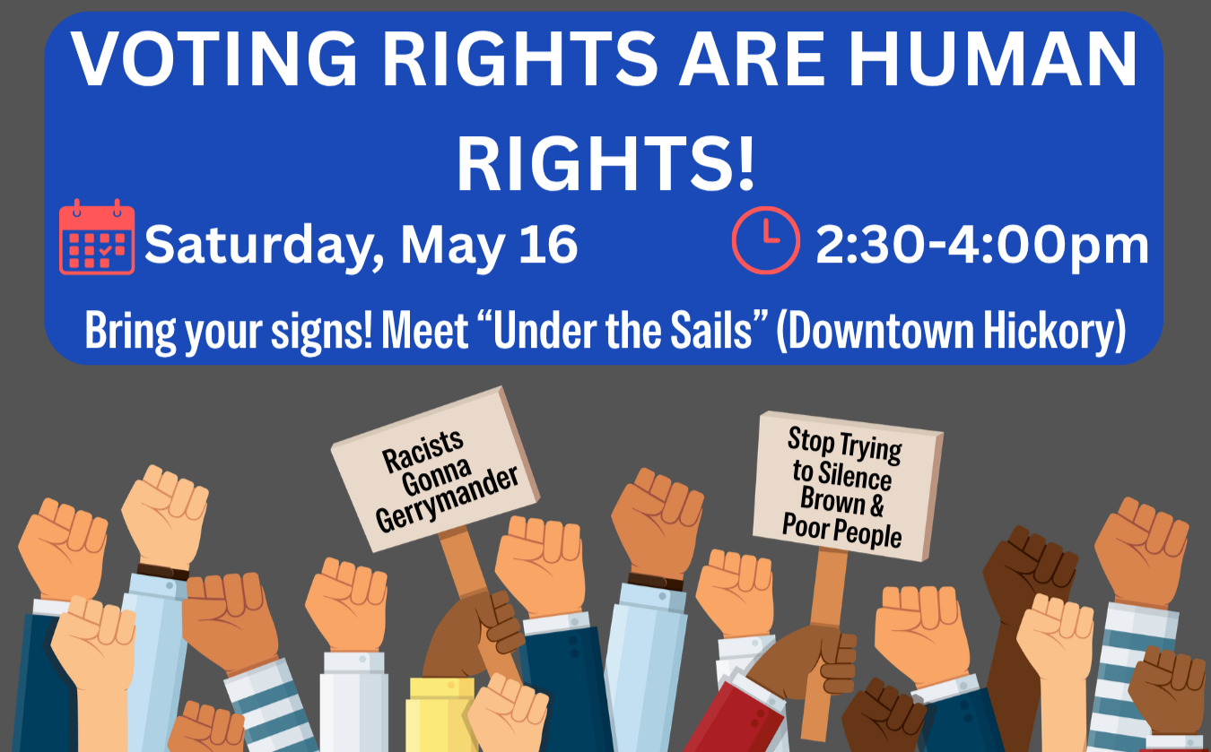 Voting Rights are Human Rights Protest