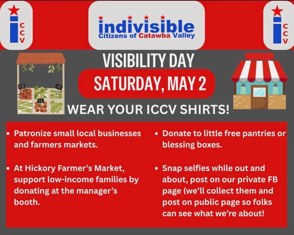 Indivisible Visibility Day
