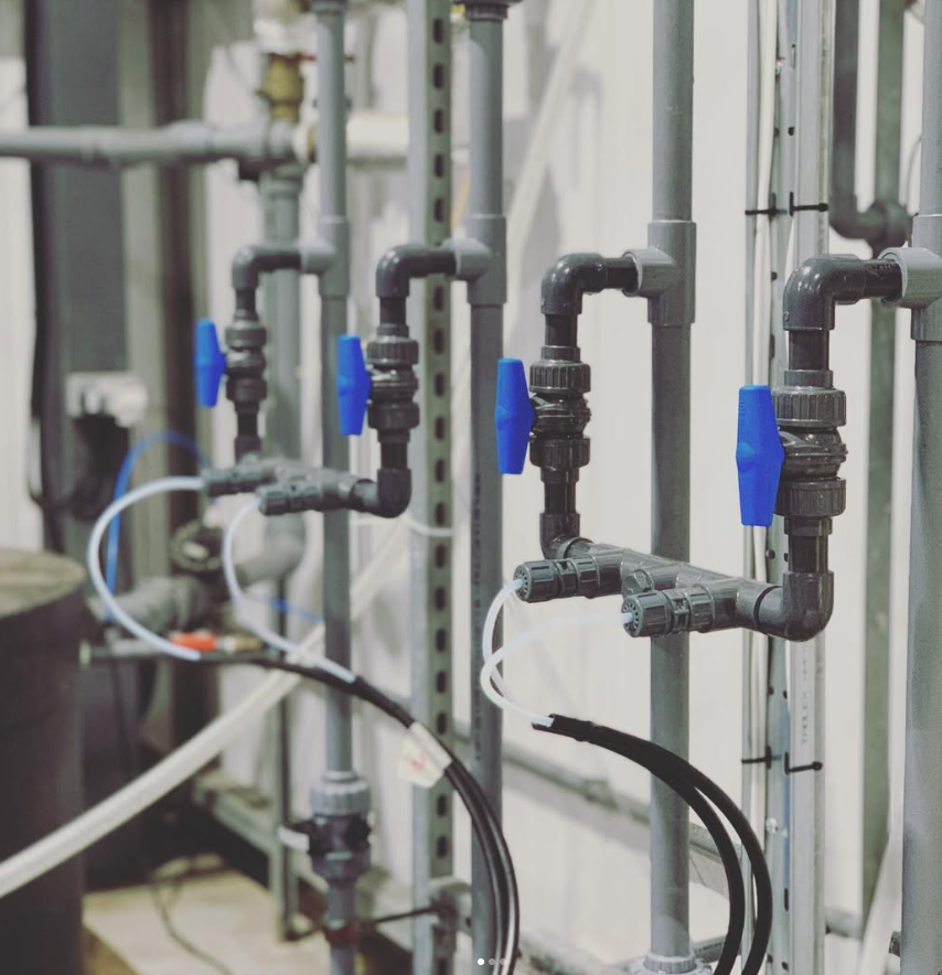 Industrial plumbing pipes and valves with blue handles in a utility room.