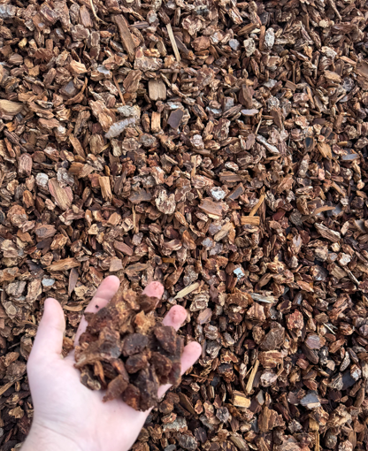 Close-up of dry, loose soil with scattered small rocks and pebbles.