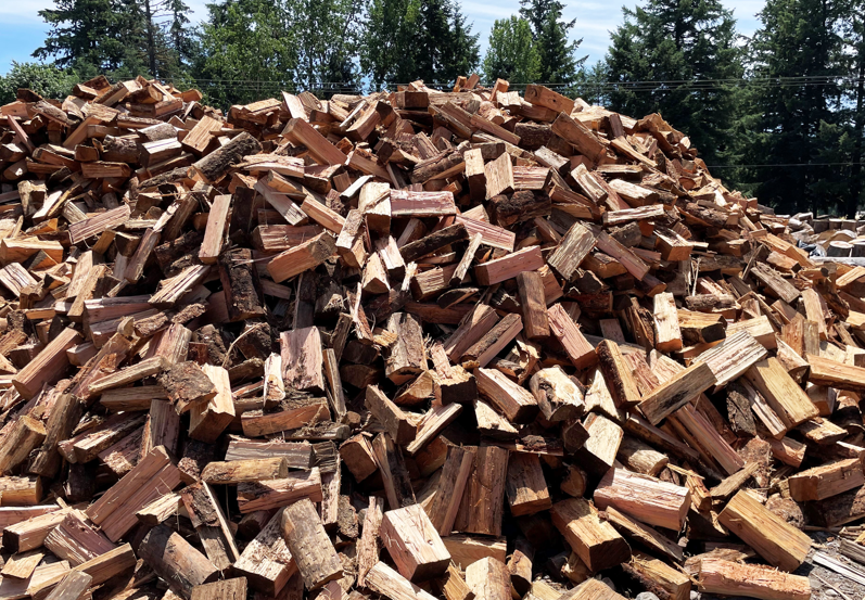 Close-up of sandy soil with fine grains and small dark particles scattered throughout