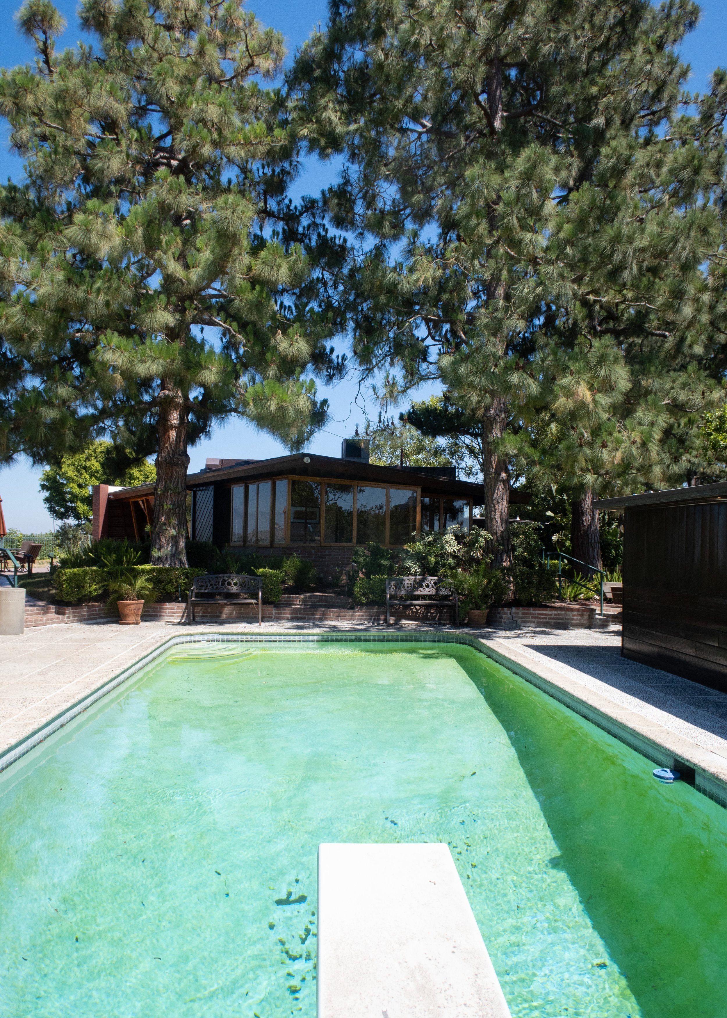 Mulholland Dr-70.jpg