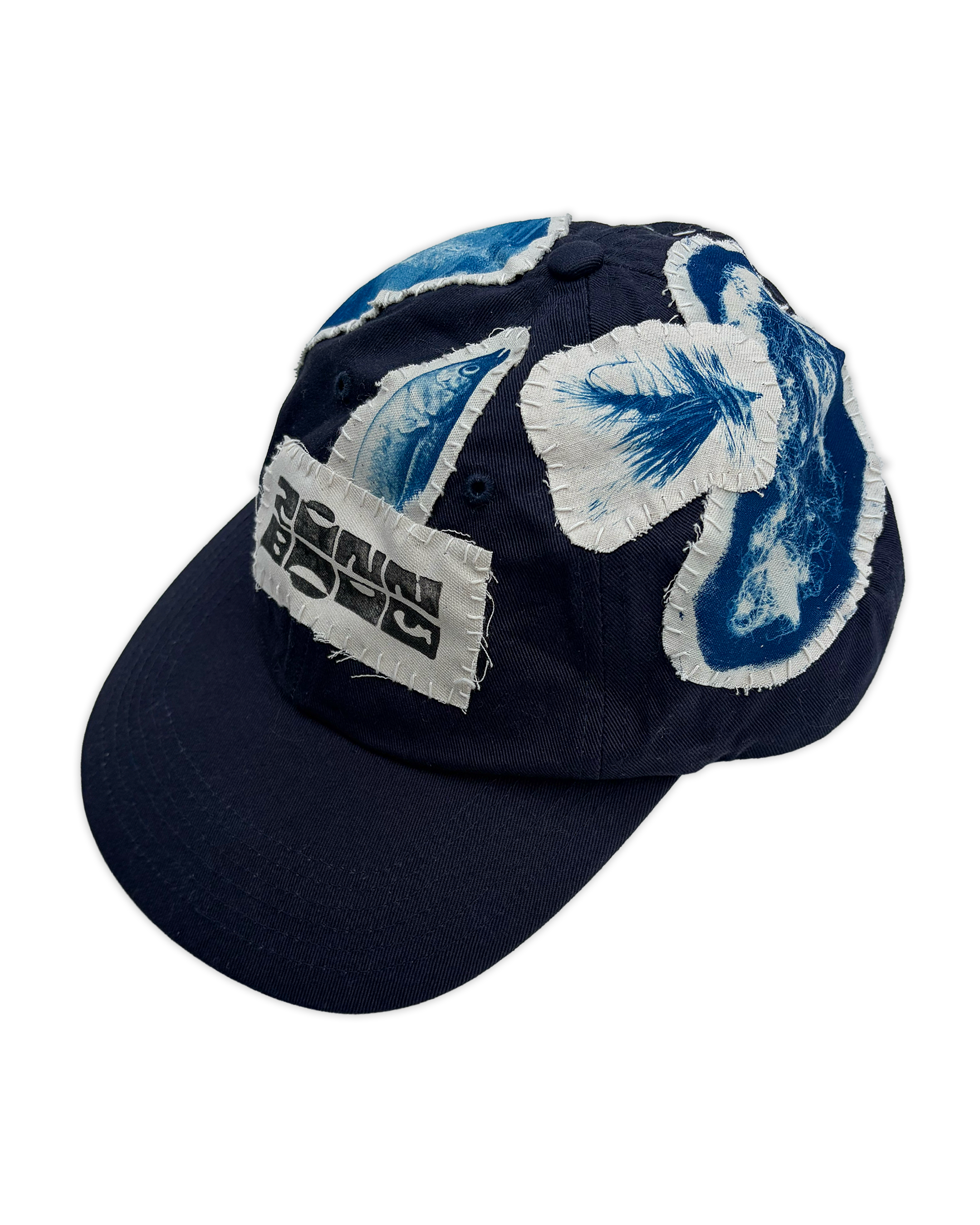 BLUE_FISH_HAT_LEFT.png