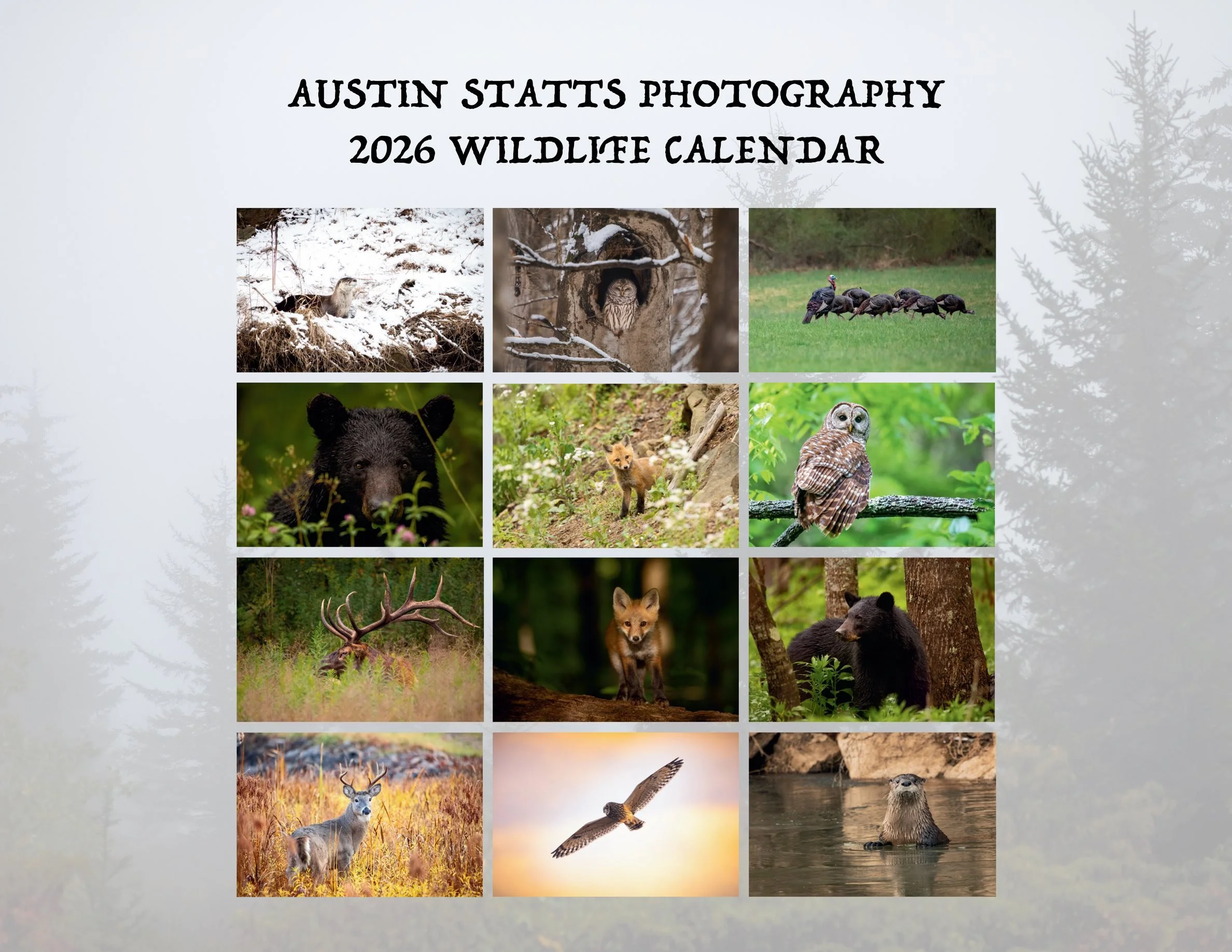 Austin Statts Photography - 2026 Wildlife Calendar