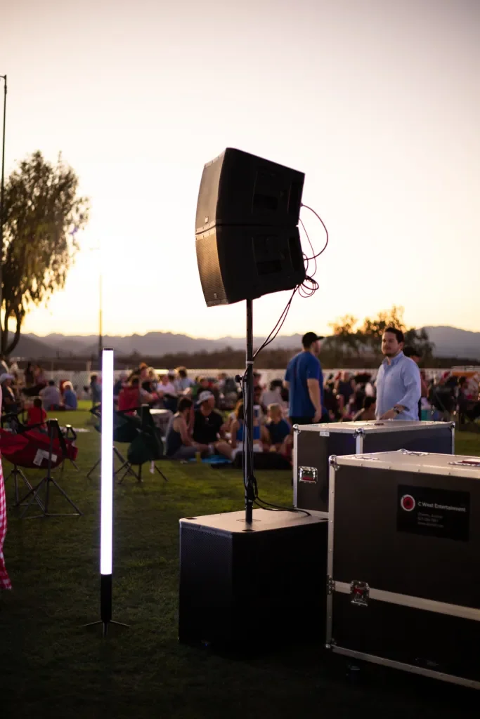 Professional Sound Systems