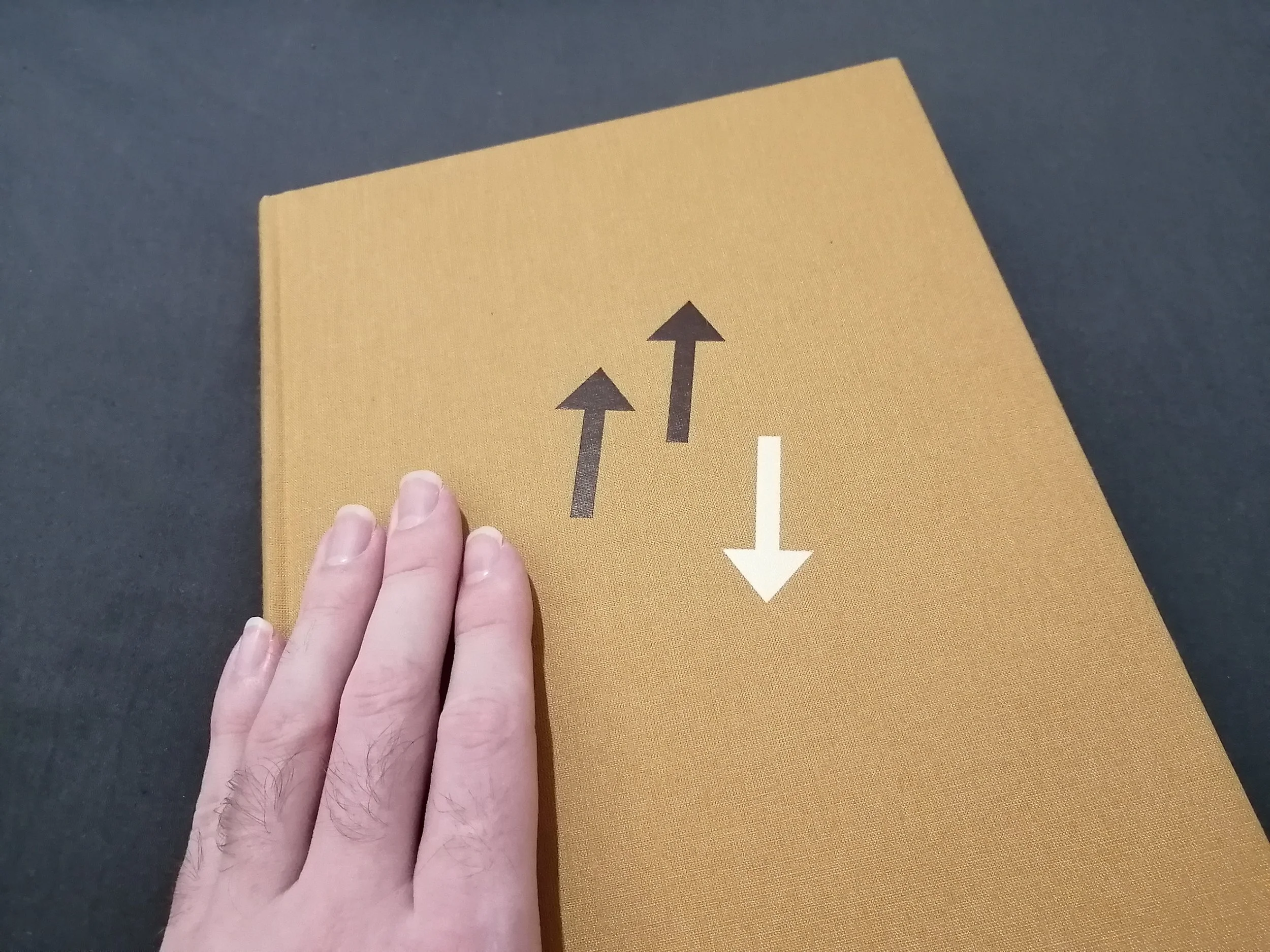 North north south by Ayda Gragossian.