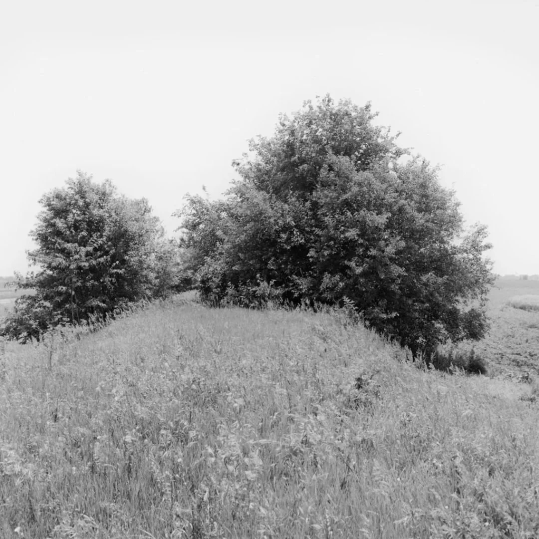 My interview with Tim Carpenter.