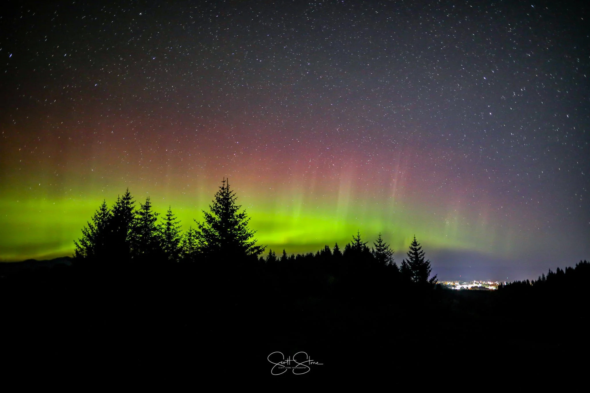 Night sky with the Northern Lights (aurora borealis) over a silhouette of trees and distant city lights.