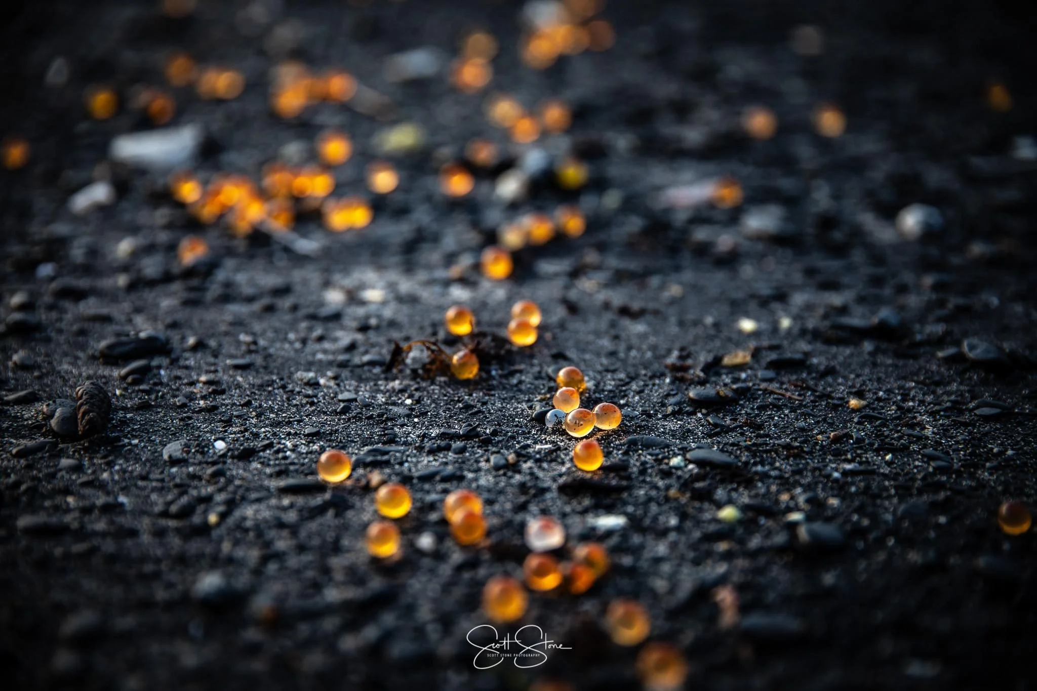 Small orange, yellow, and black pebbles scattered on dark, wet sand.