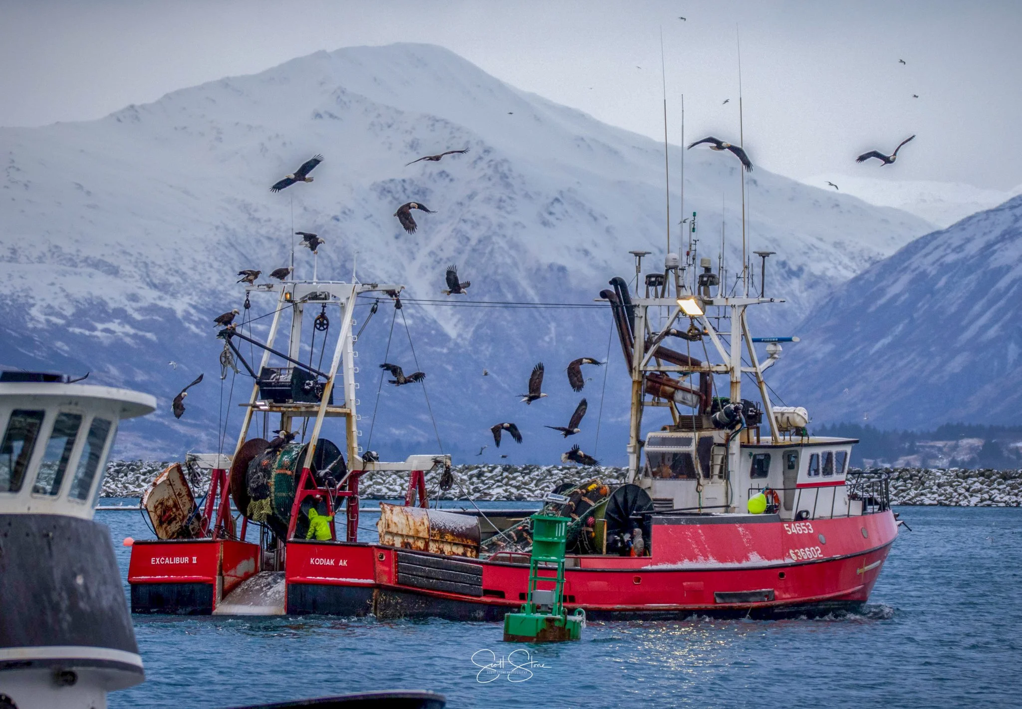 A red fishing boat named 'KODIAK AK' is in a harbor with snow-covered mountains in the background. Seagulls are flying around the boat.