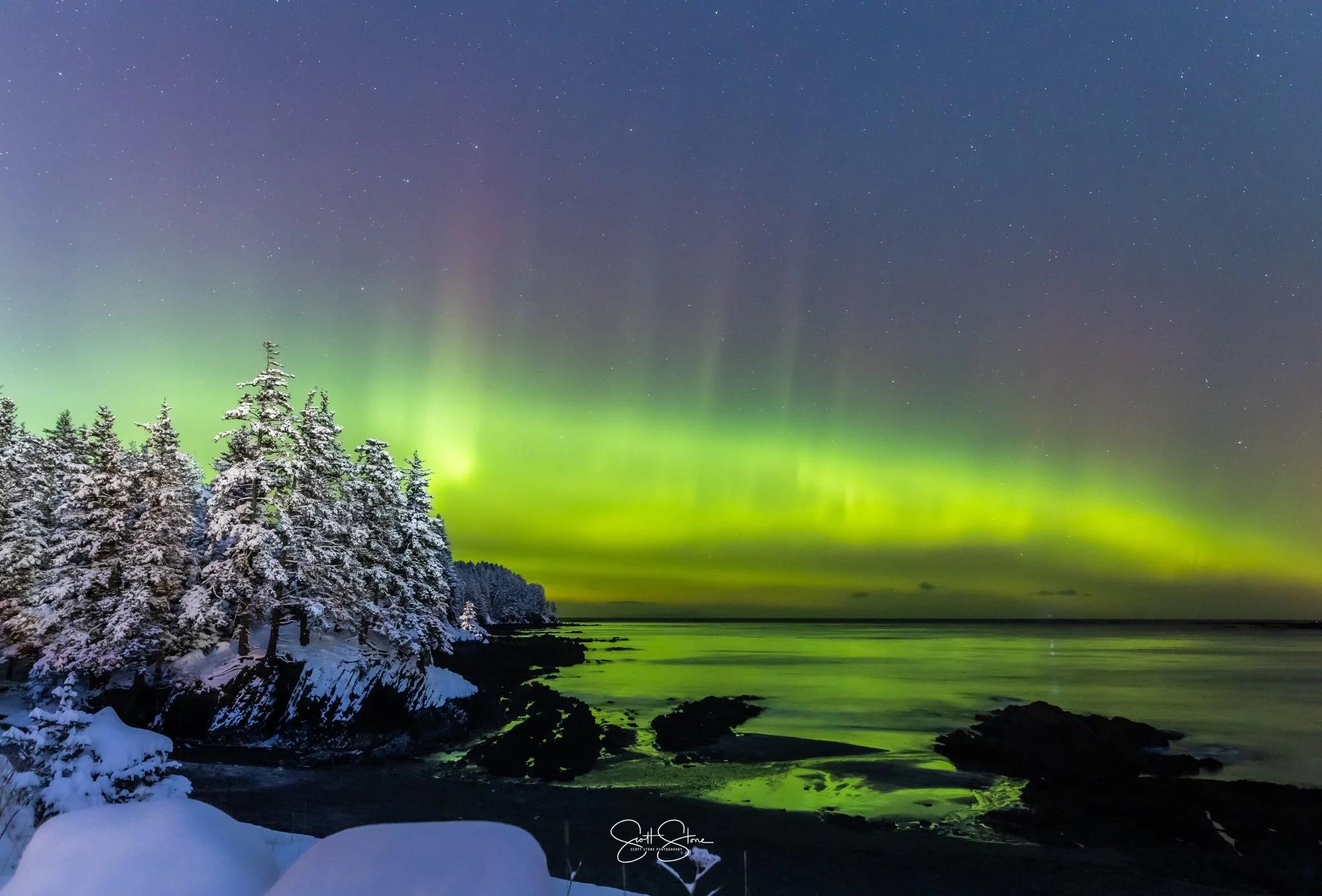 Northern lights over a snowy shoreline with snow-covered trees and dark rocks in the water.
