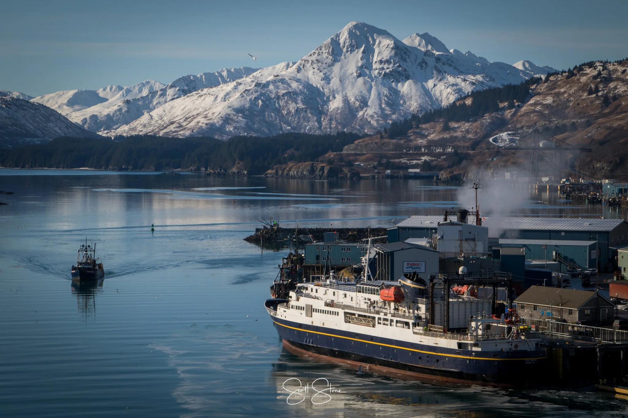 A harbor with boats and buildings along a calm body of water, snow-capped mountains in the background under a clear sky.