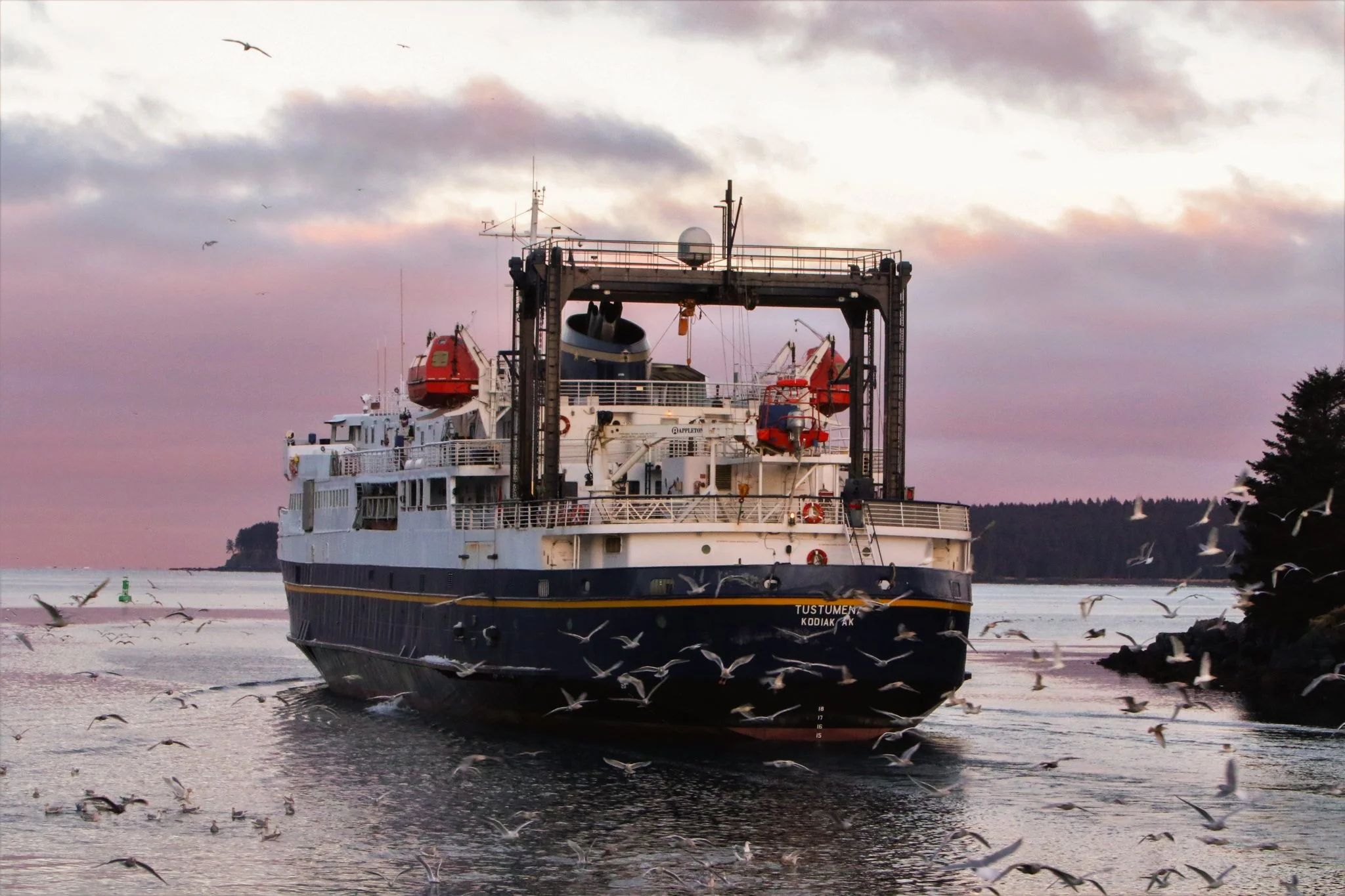 Large ship with lifeboats and cranes on water during sunset, seagulls flying around.
