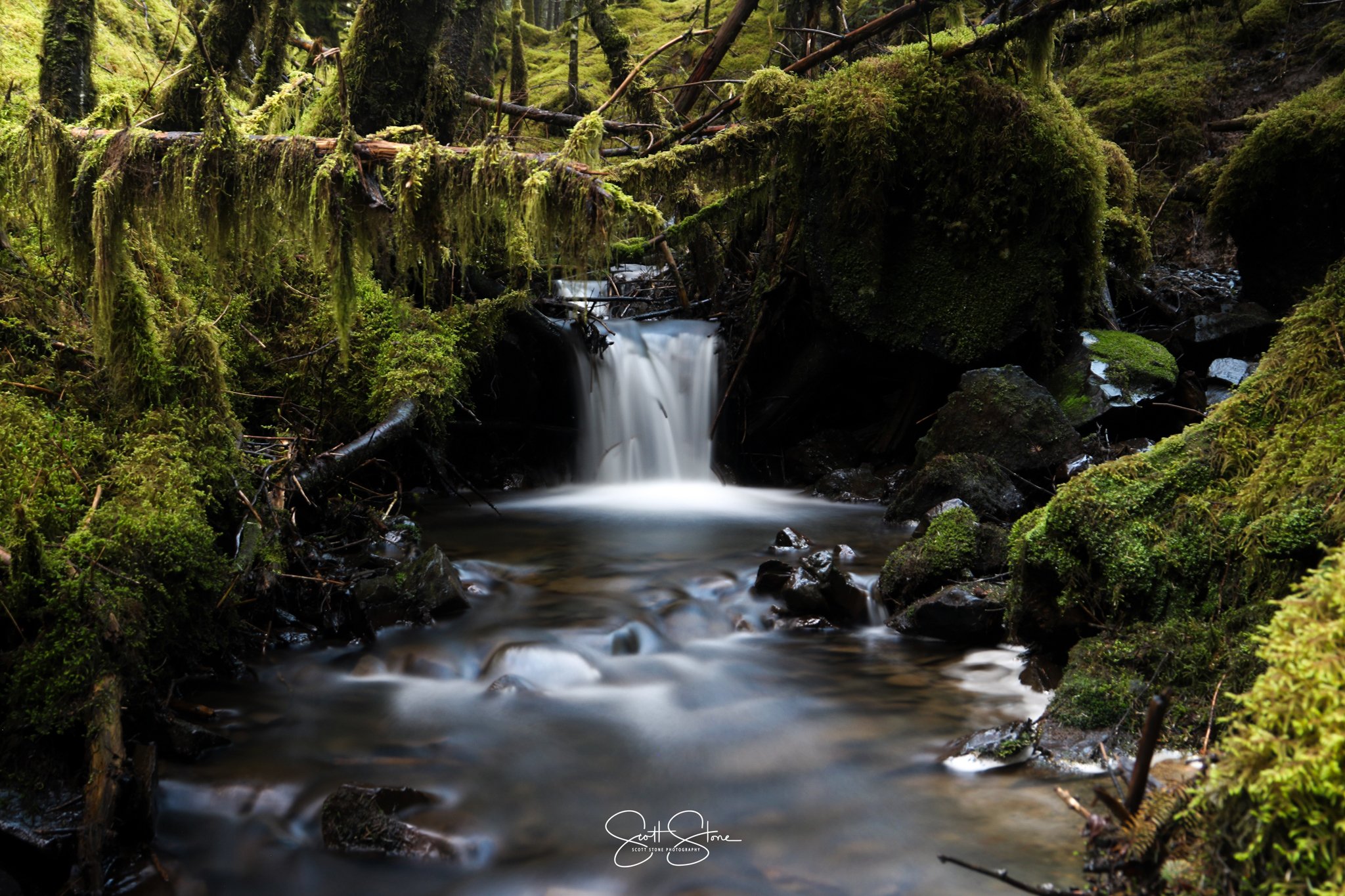 A small waterfall flowing through a moss-covered forest with lush green vegetation and rocks.
