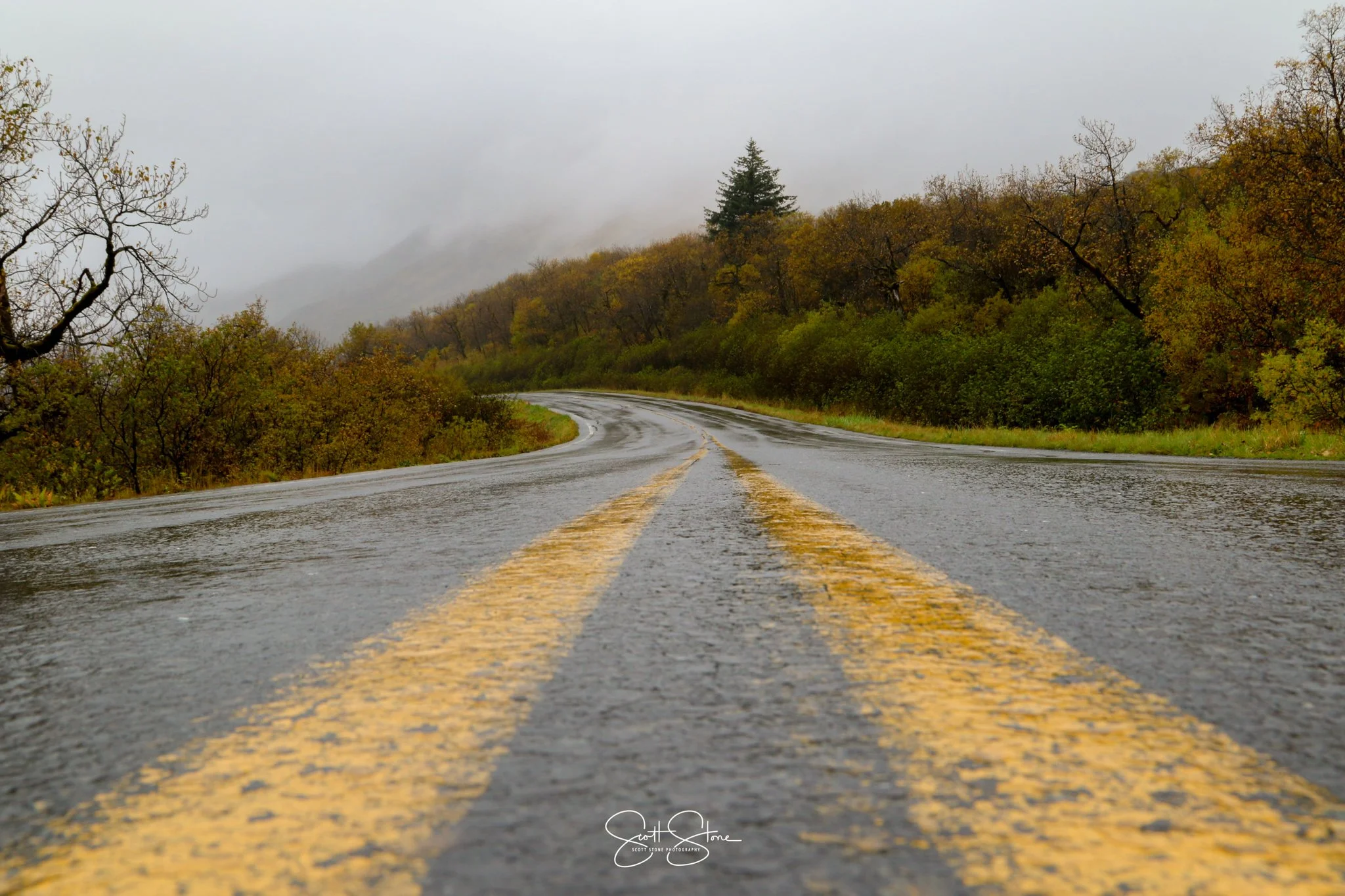 A wet, winding road surrounded by colorful autumn trees on a cloudy day.