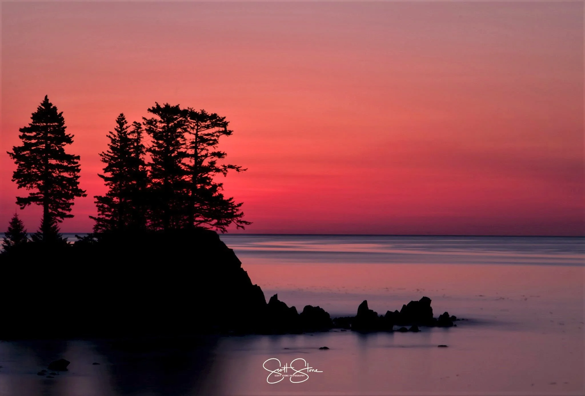 Silhouette of trees on a rocky coastline at sunset with pink and purple sky reflections on calm water.