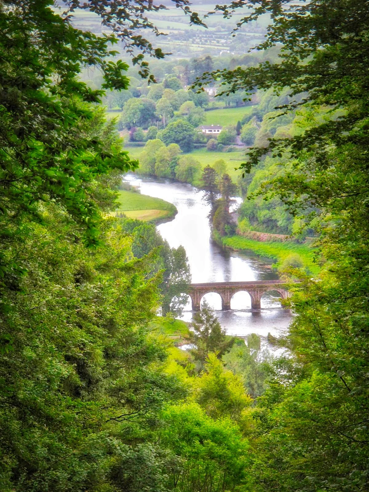 A scenic view of a river meandering through lush Irish green countryside, with an old stone bridge crossing the river and surrounded by trees and distant houses. Copyright 2026 by Pinky Brand Photography.
