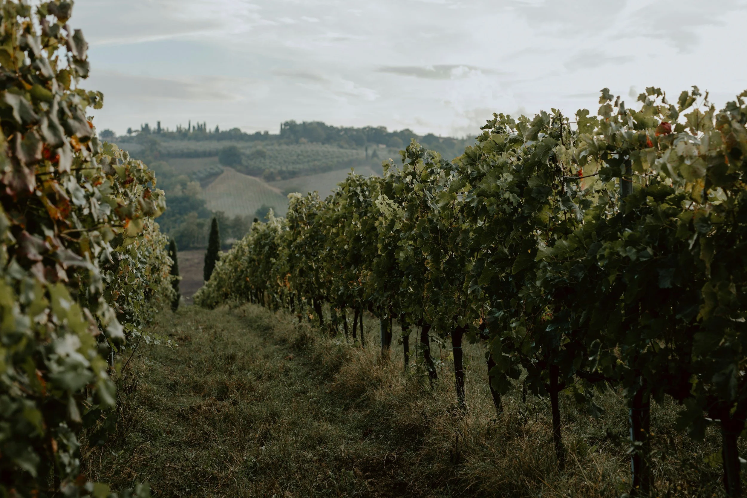 tuscany in late fall