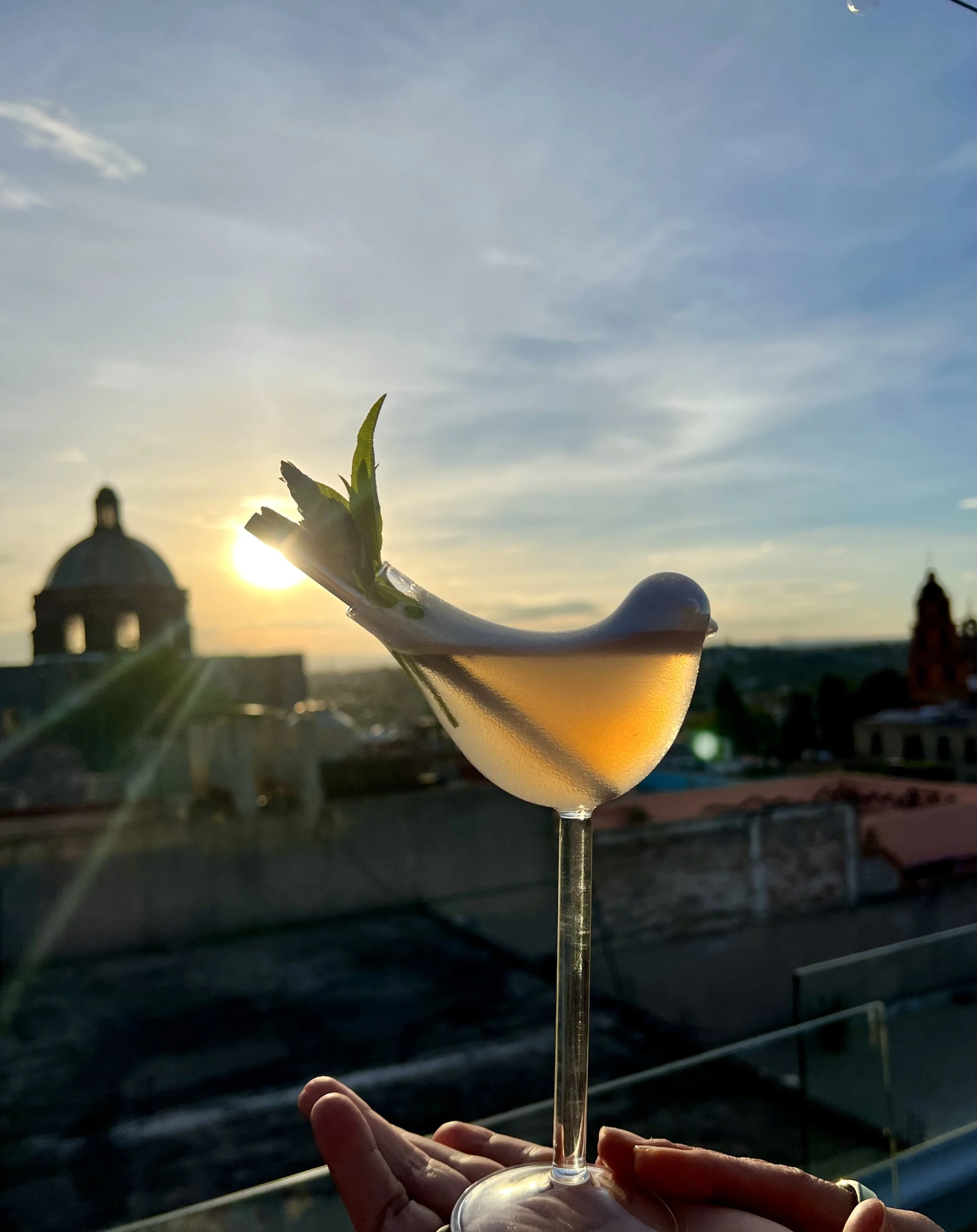 Sunset Cocktails at Bekeb Rooftop Bar in San Miguel De Allende