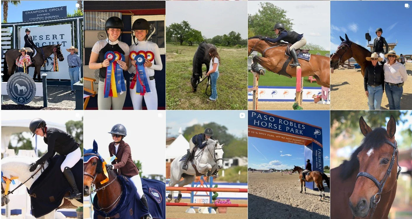 Collage of horse riding and equestrian events at an outdoor horse park, featuring riders in competition, award ceremonies with ribbons, and people with their horses.