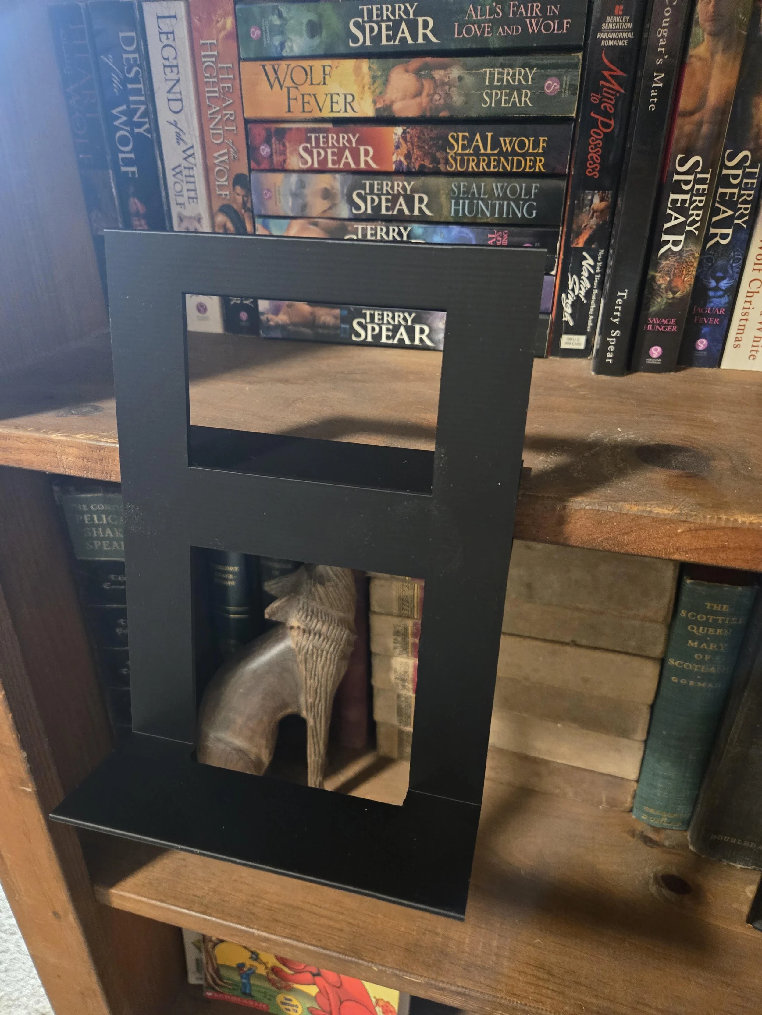 Book Shelf Display
