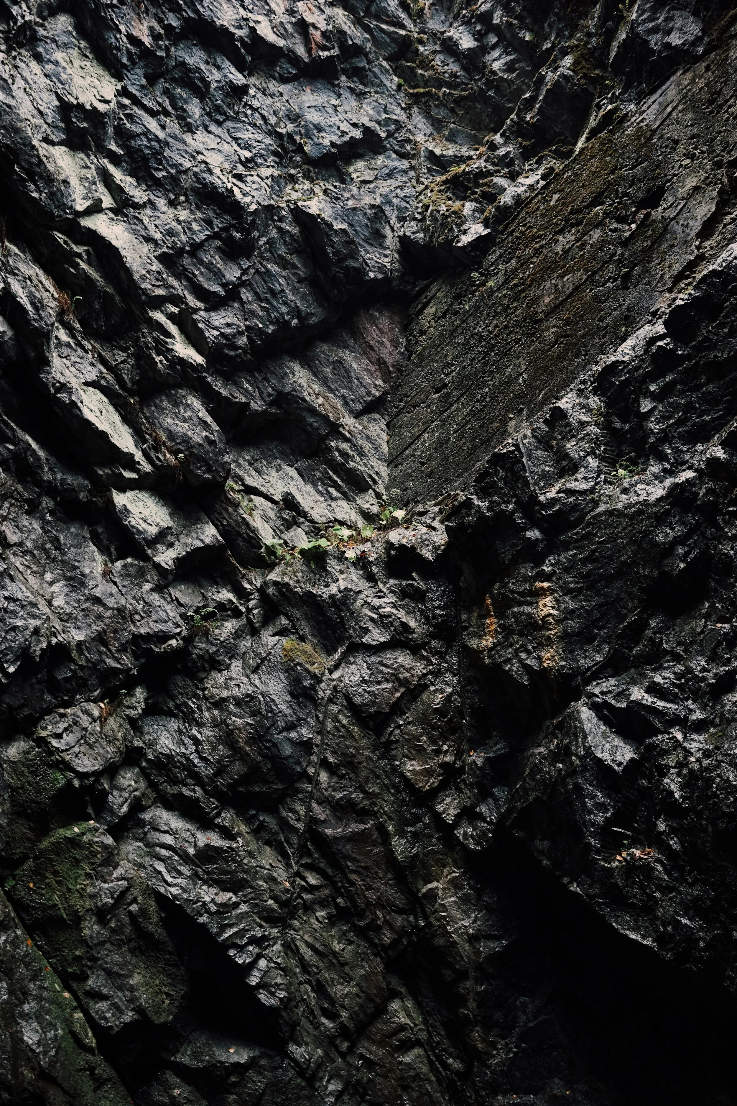Close-up of dark, textured rocks forming a narrow crevice or cliff face.