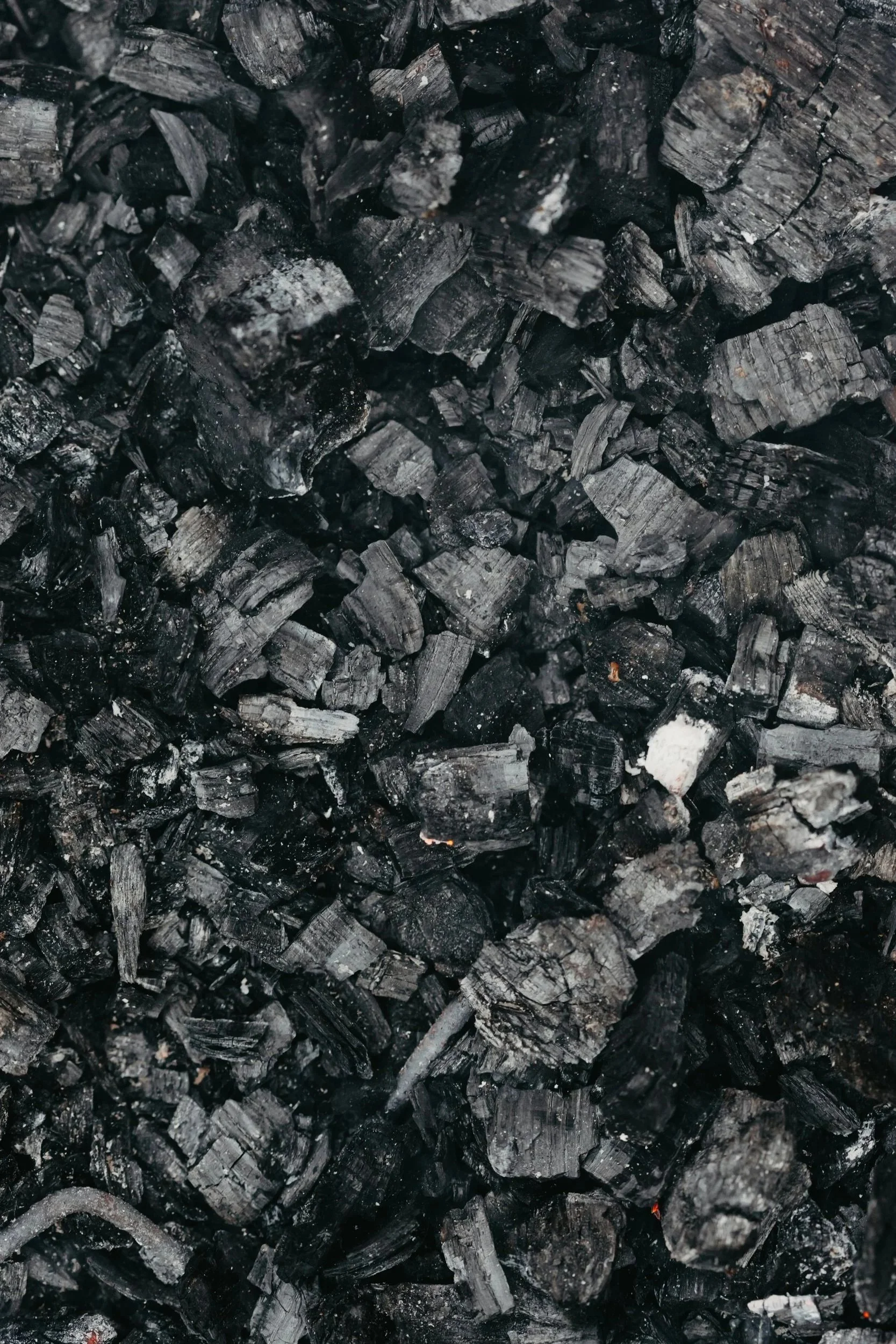 Close-up of black charcoal pieces with some white ash and small fragments