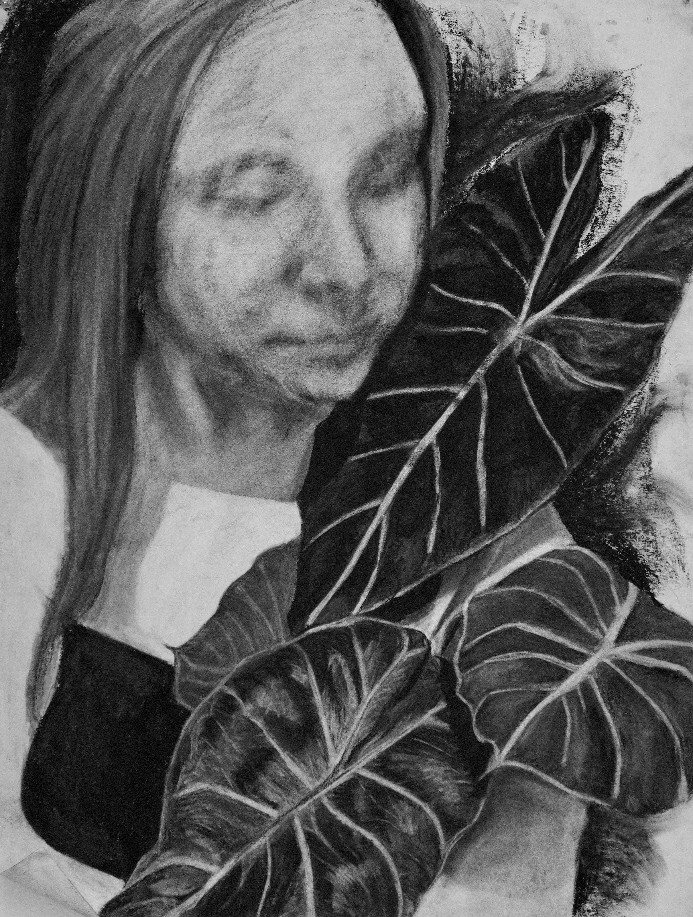 Interlace, 2025, Charcoal on Paper, 18" x 24"