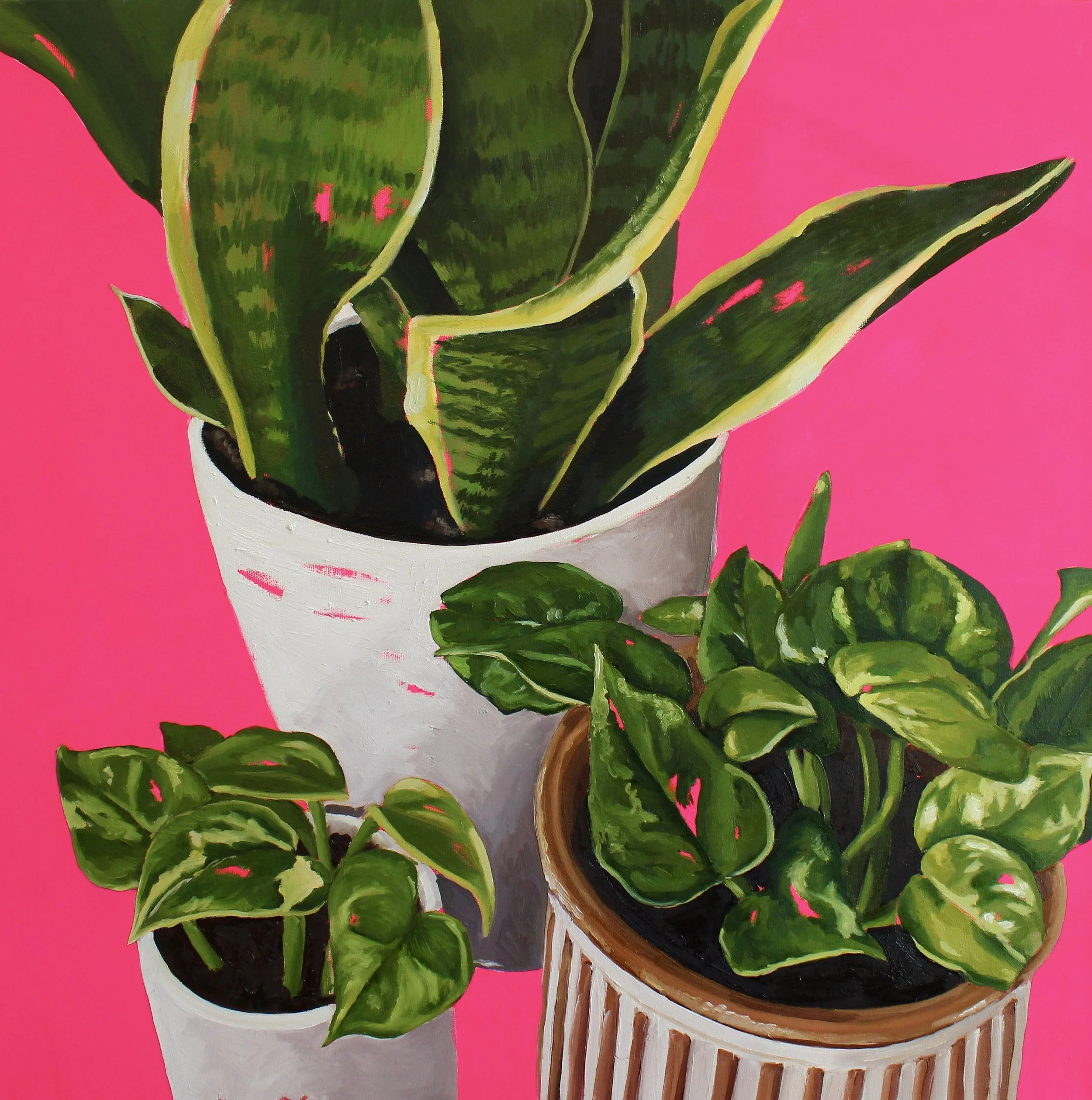 Domestic Garden, 2026, Oil On Canvas, 24" x 24"