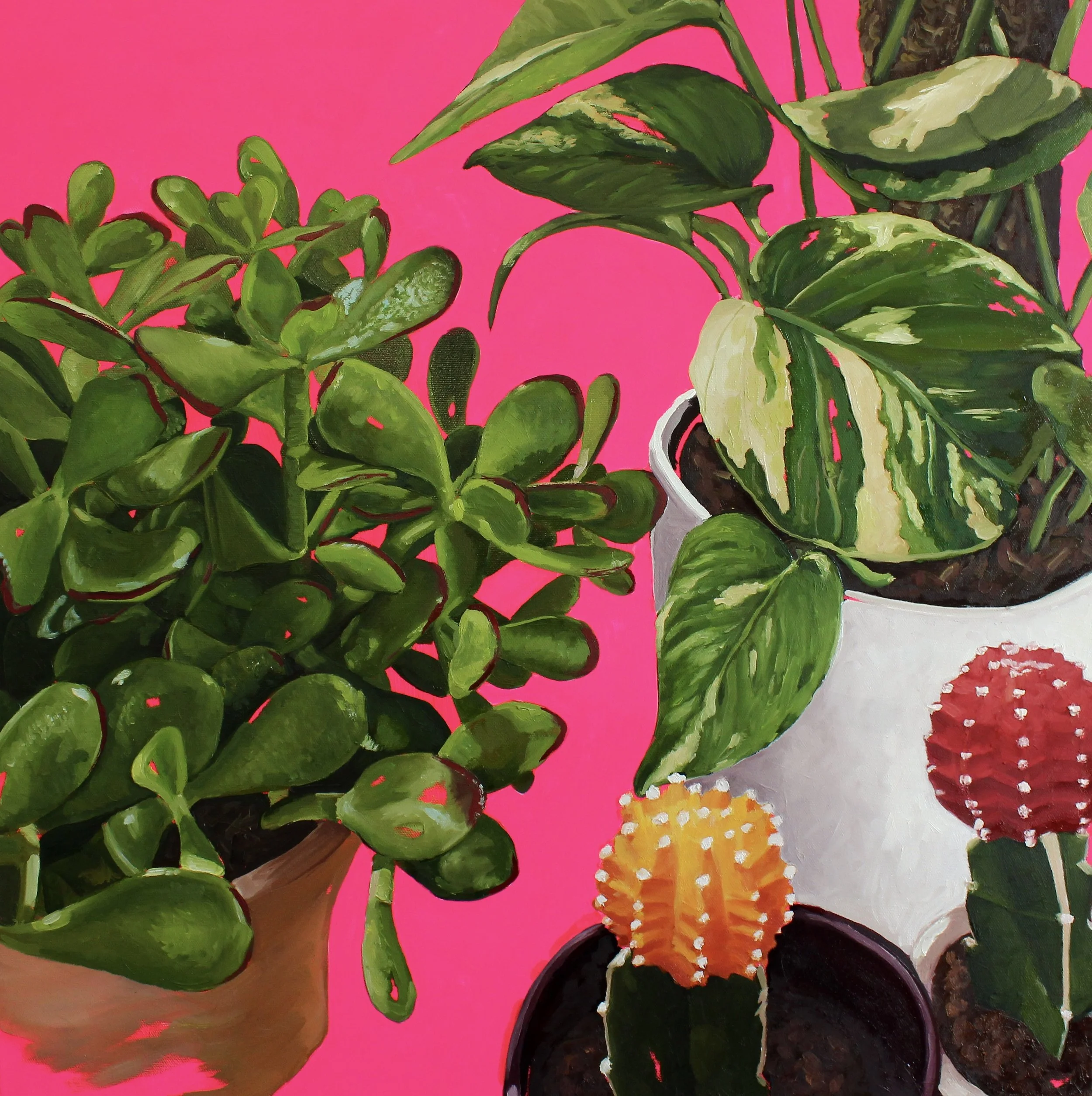 Still Becoming, 2026, Oil On Canvas, 24" x 24"