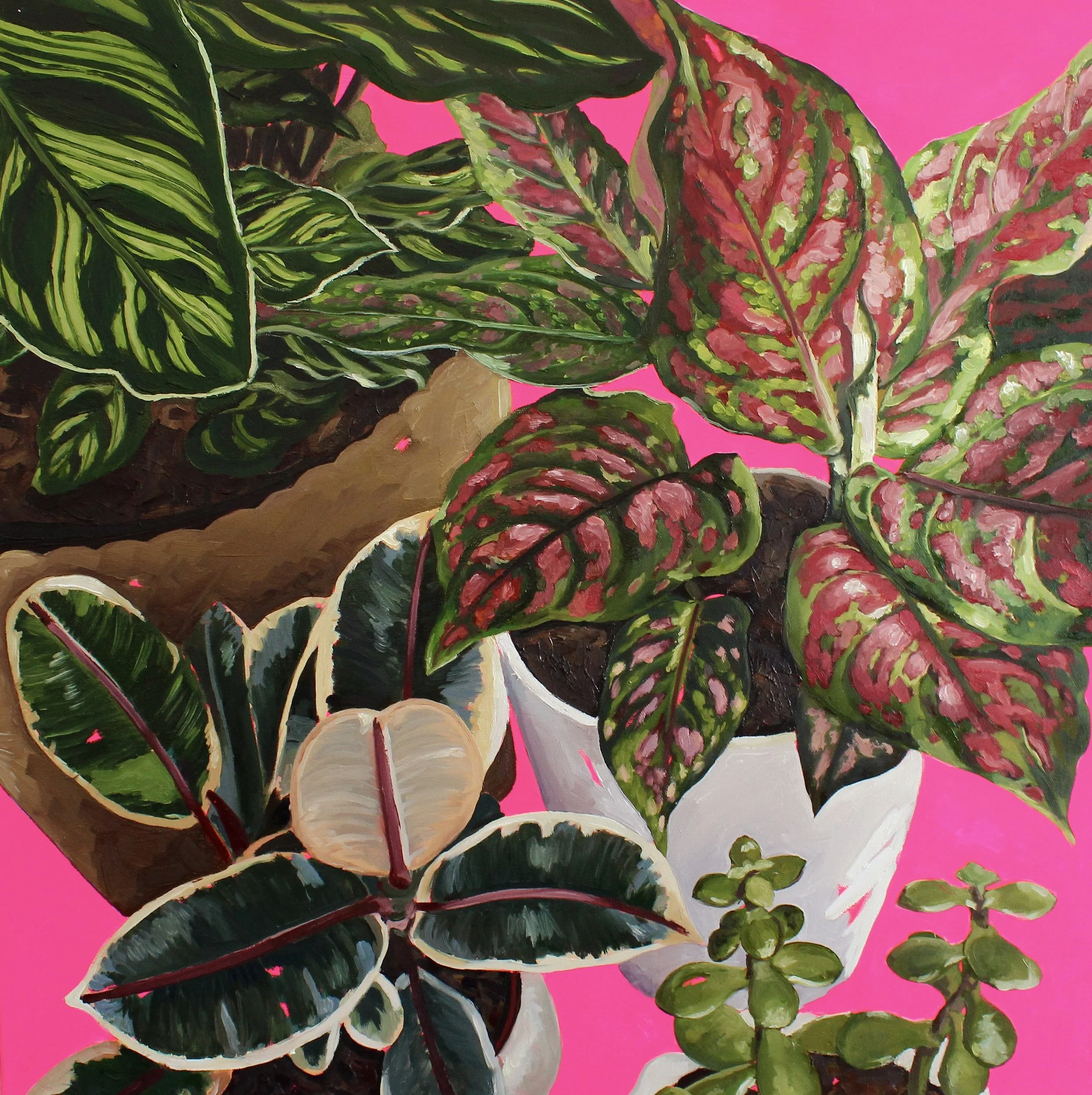 Shared Light, 2026, Oil On Canvas, 24" x 24"