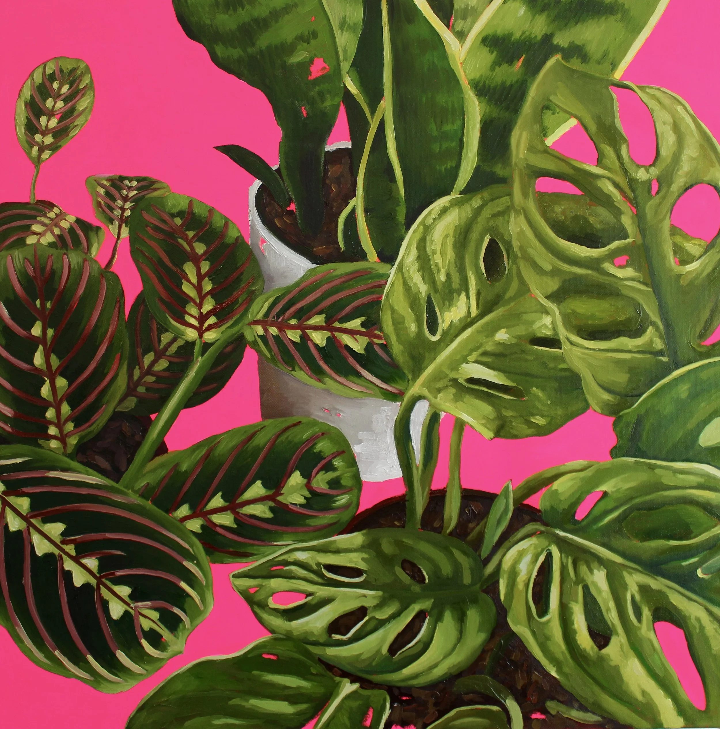 After Care, 2026, Oil On Canvas, 24" x 24"