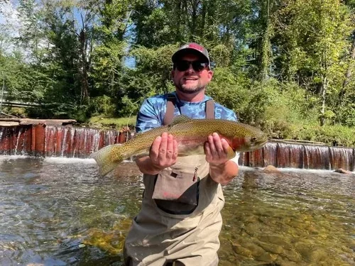 Man holding a large fish in a river with a small waterfall and green trees in the background.