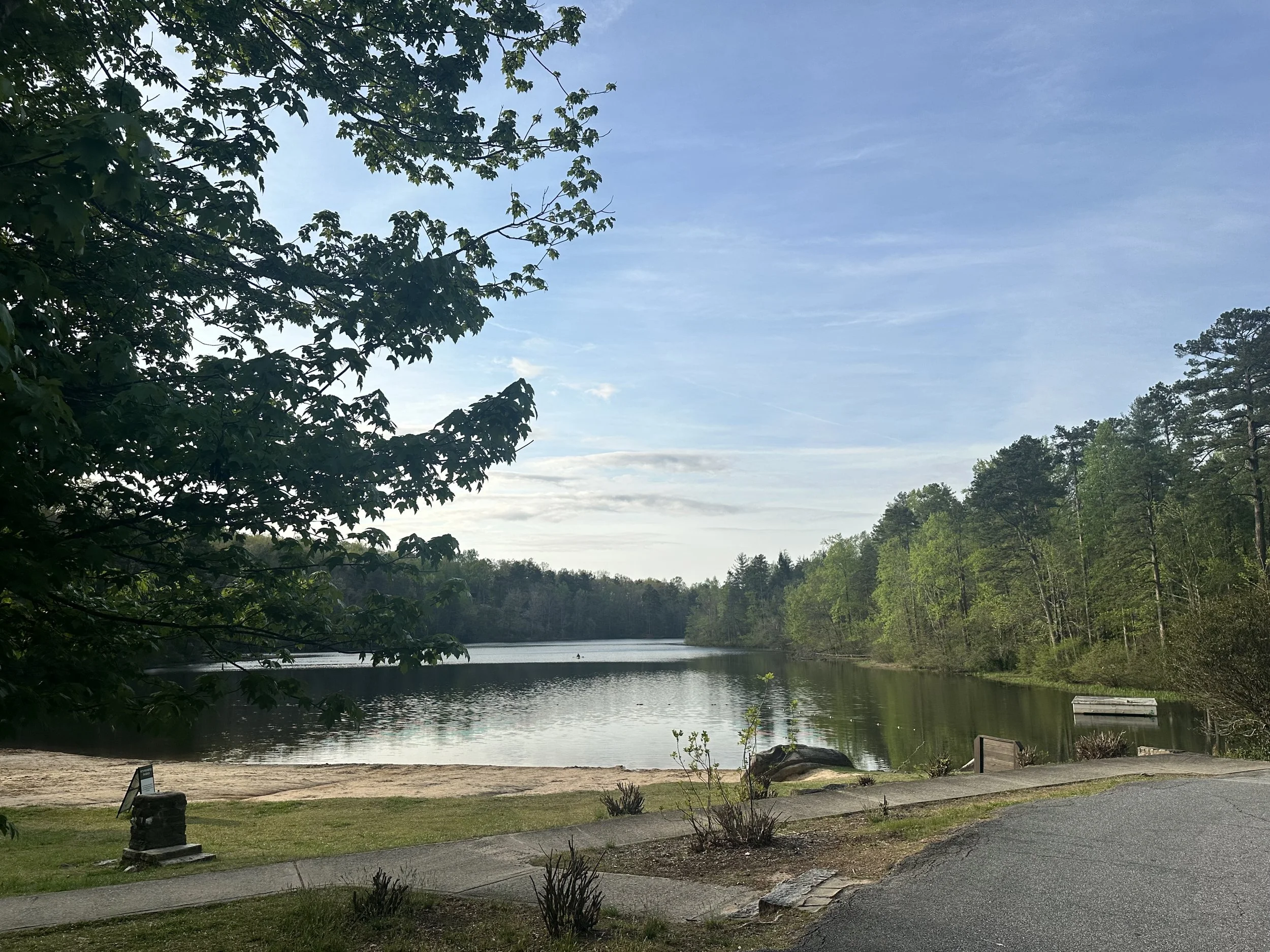 A peaceful lake scene surrounded by trees, with a clear blue sky above and a small dock on the lake's edge.