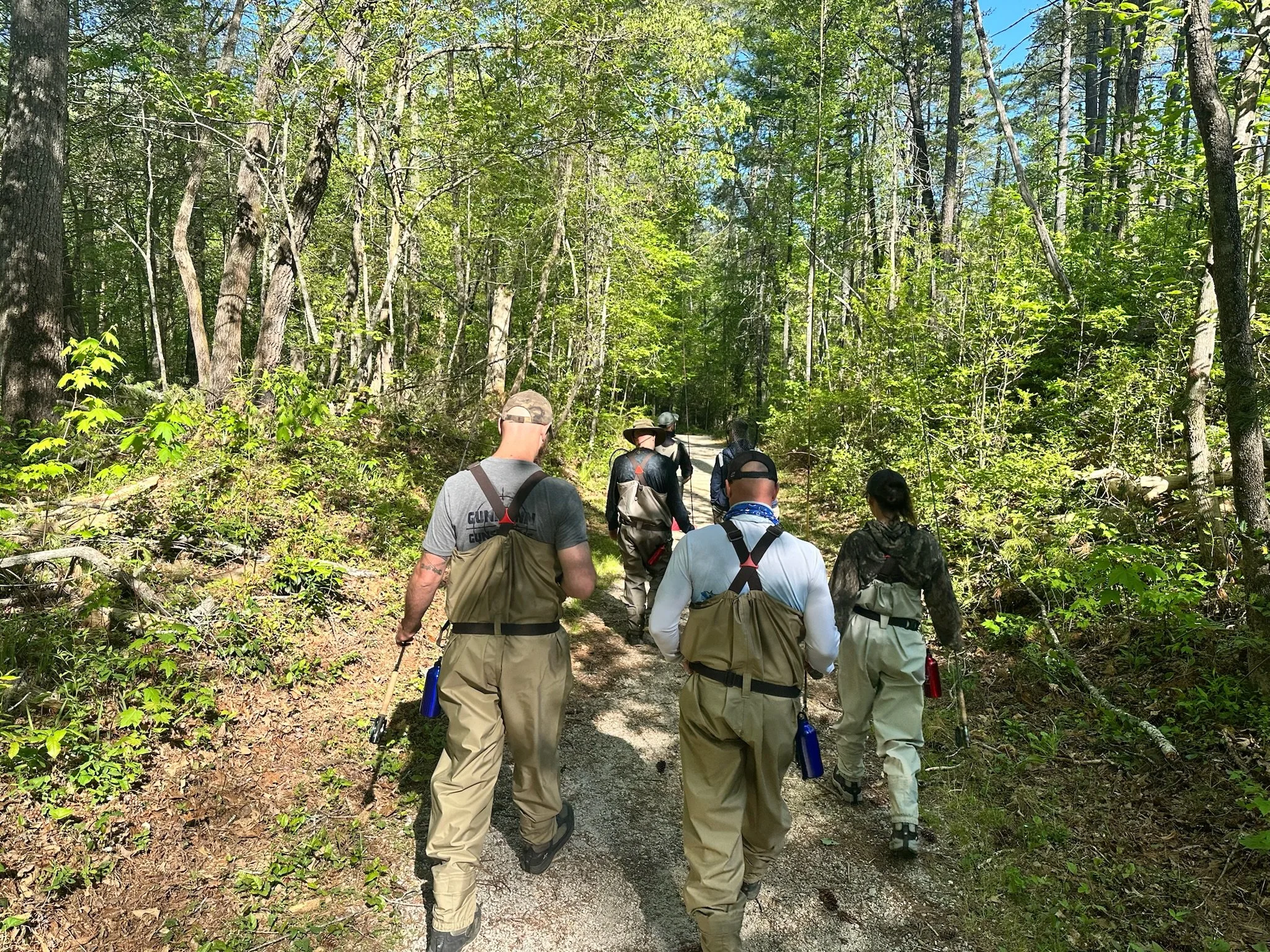 A group of people hiking on a forest trail surrounded by green trees and foliage on a sunny day.