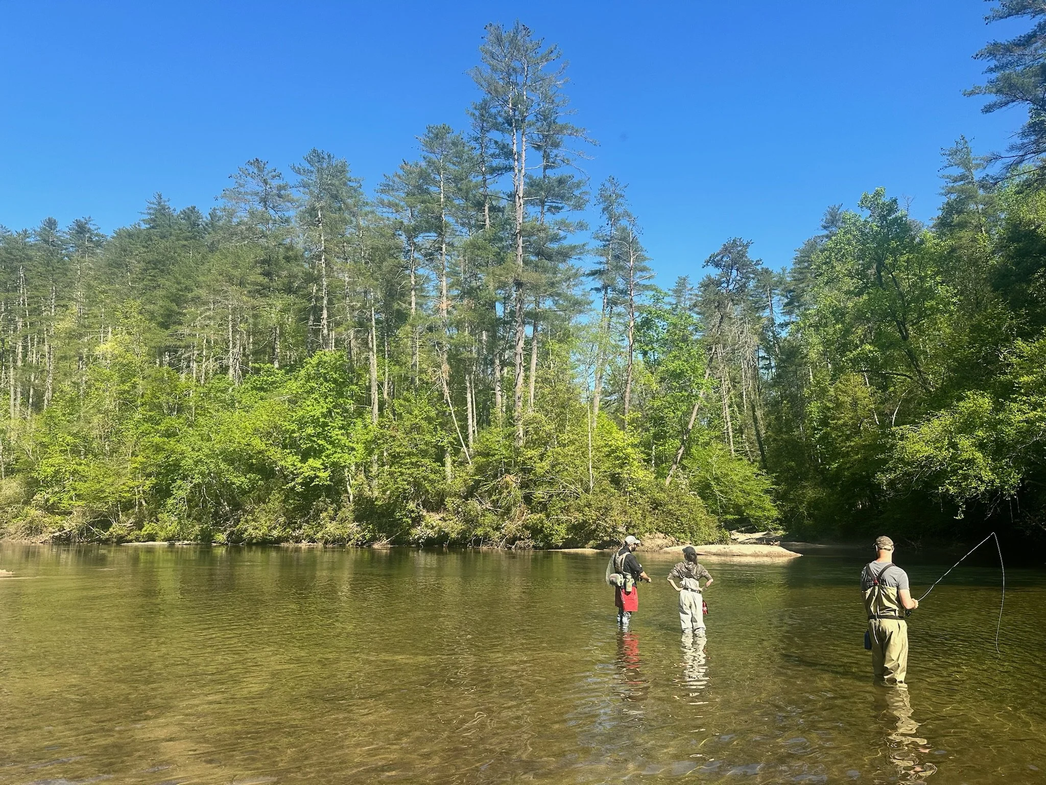 Three people fishing in a river with a forested background and a clear blue sky.