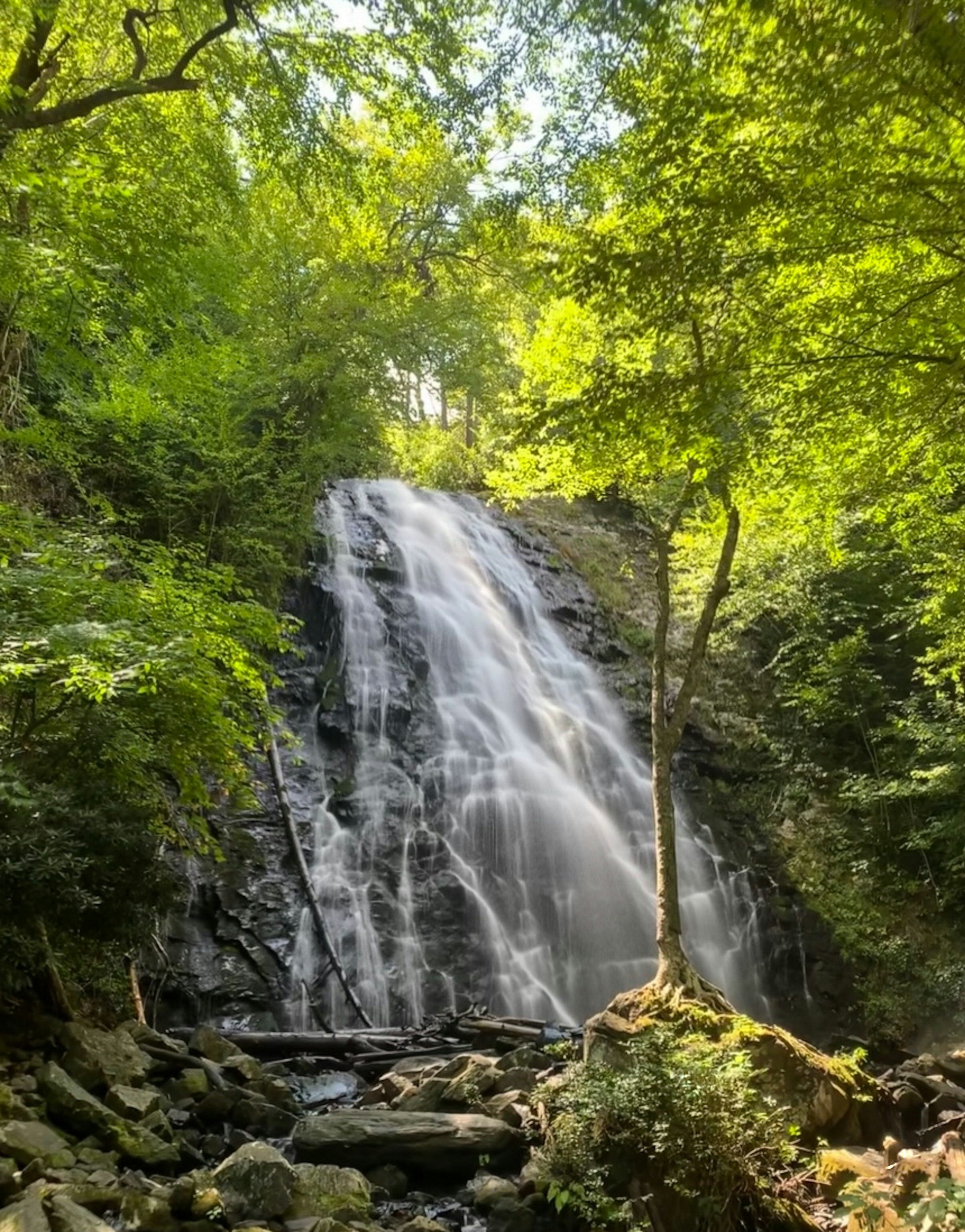 A waterfall in a lush green forest with sunlight filtering through the trees.