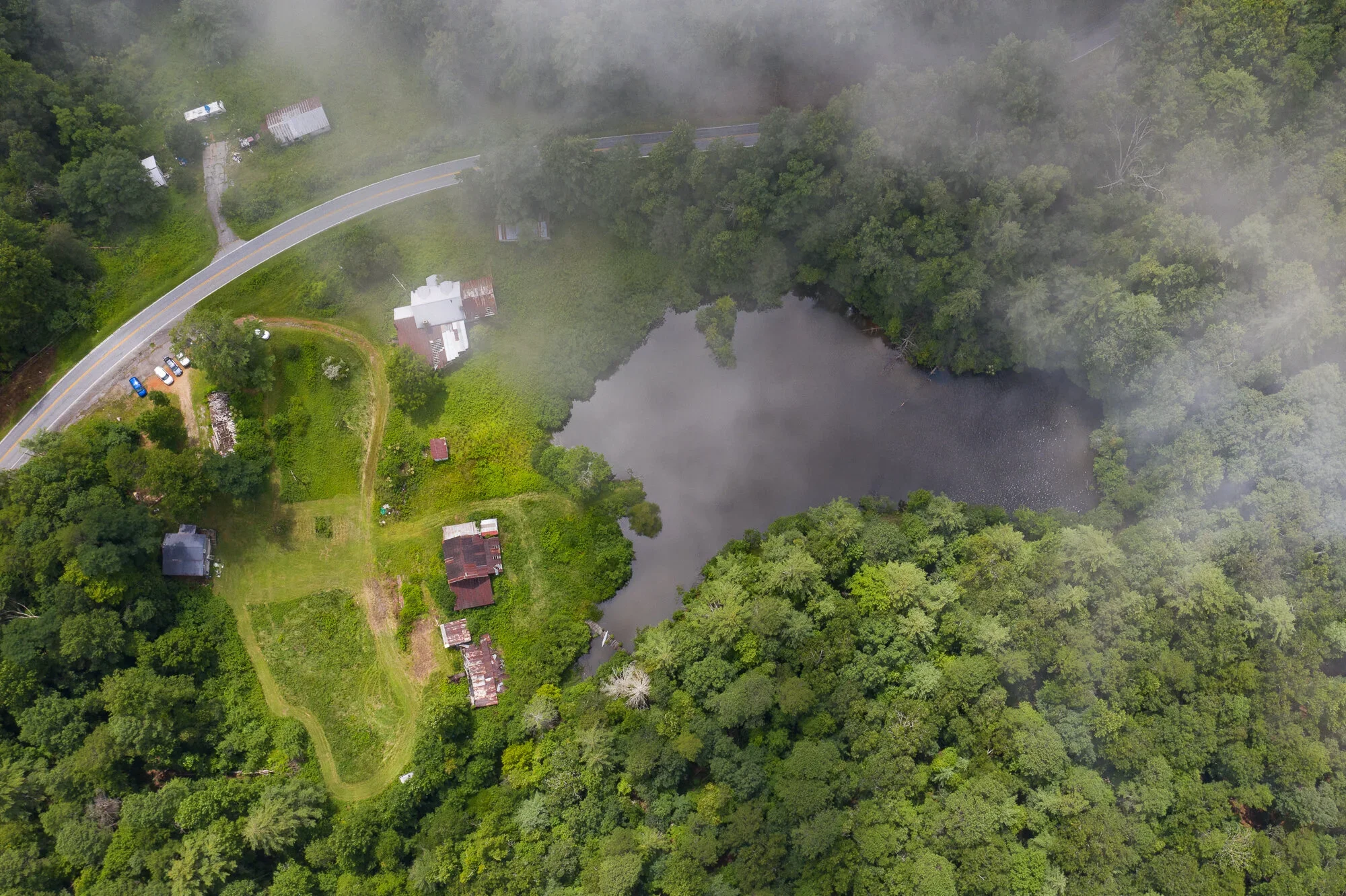 Burrell’s Pond Restoration