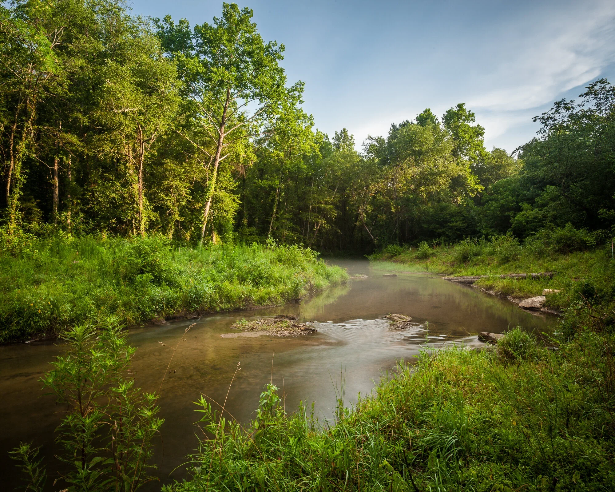 North Saluda River Restoration