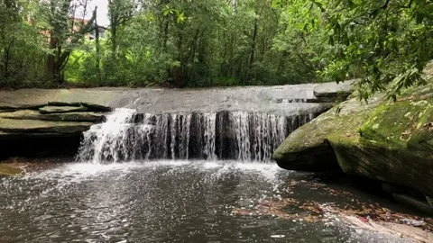 Terry Creek Restoration