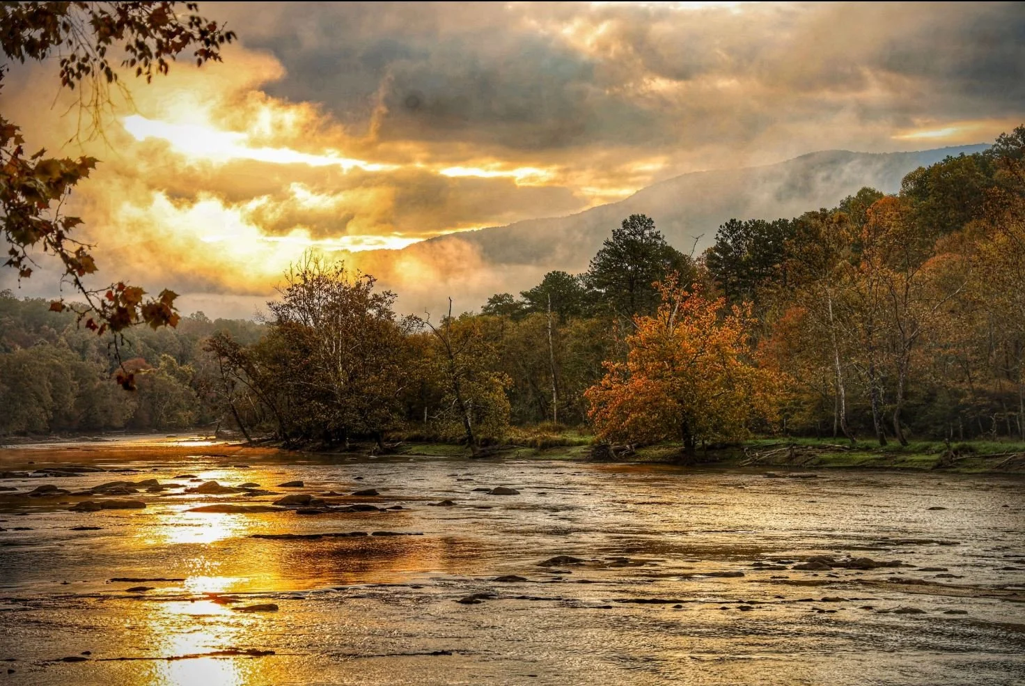 Tuckaseegee River Fly Fishing Outing
