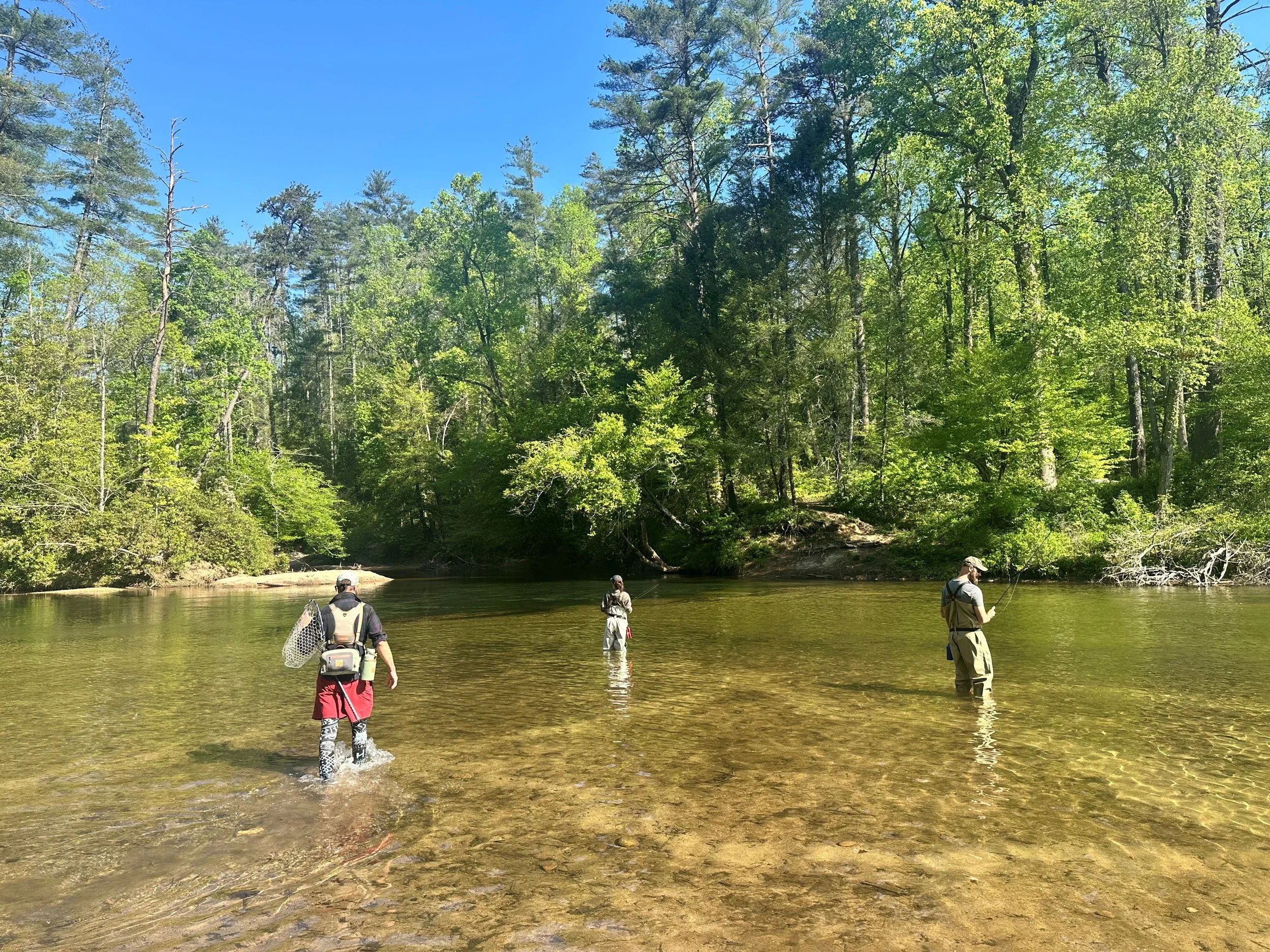 Four people fishing in a river surrounded by trees on a sunny day.