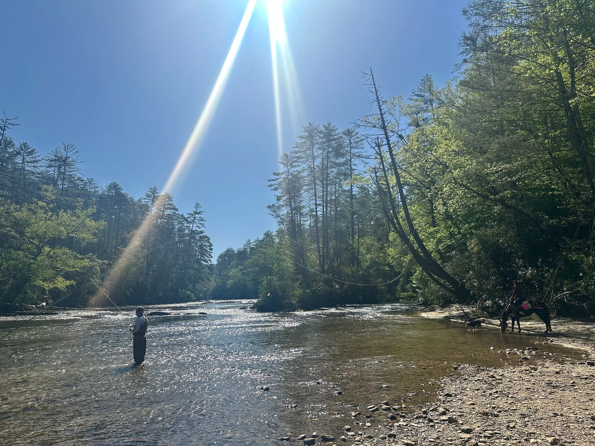 People fishing in a river with tall trees on both sides and sunlight streaming down from a clear blue sky.