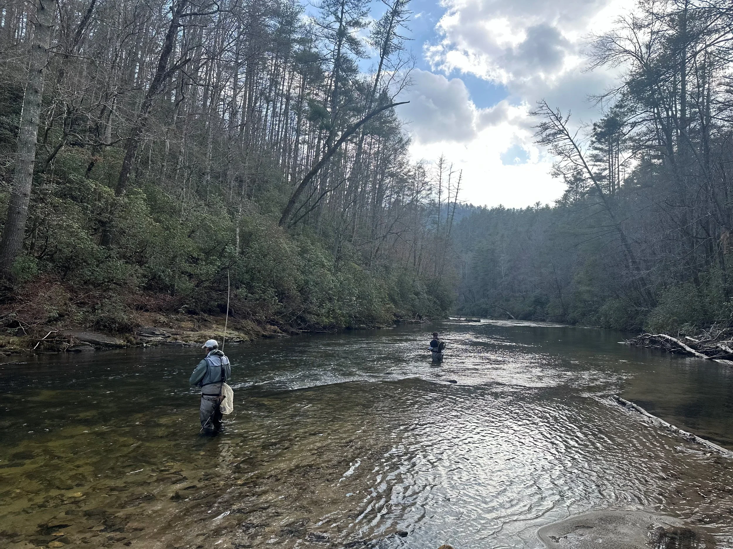 Two people fishing in a river surrounded by tall trees with bare branches, under a partly cloudy sky.