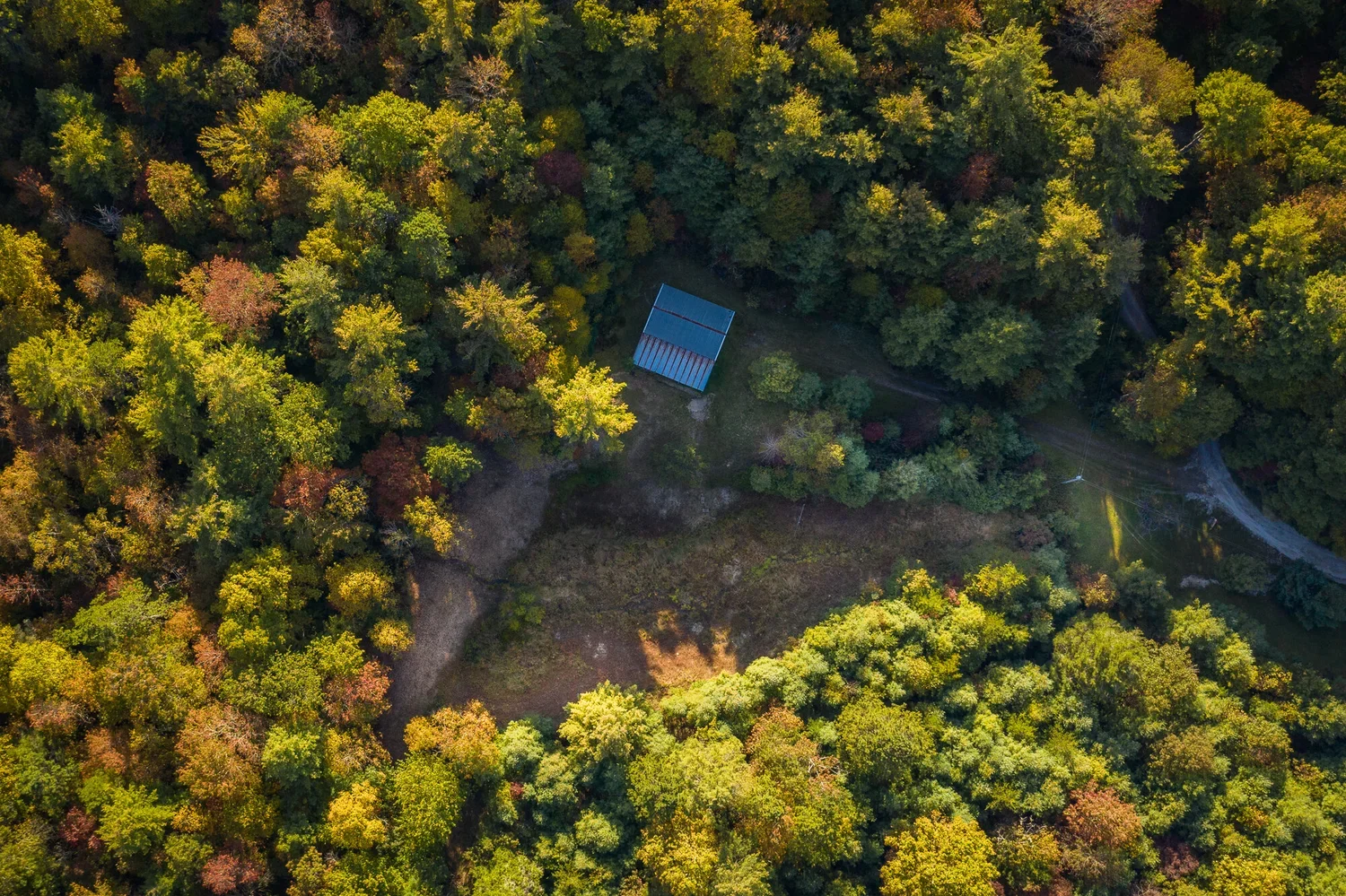 An aerial view of a forest with a small building with a blue roof surrounded by trees with green, yellow, and orange leaves, and a dirt path leading to the building.